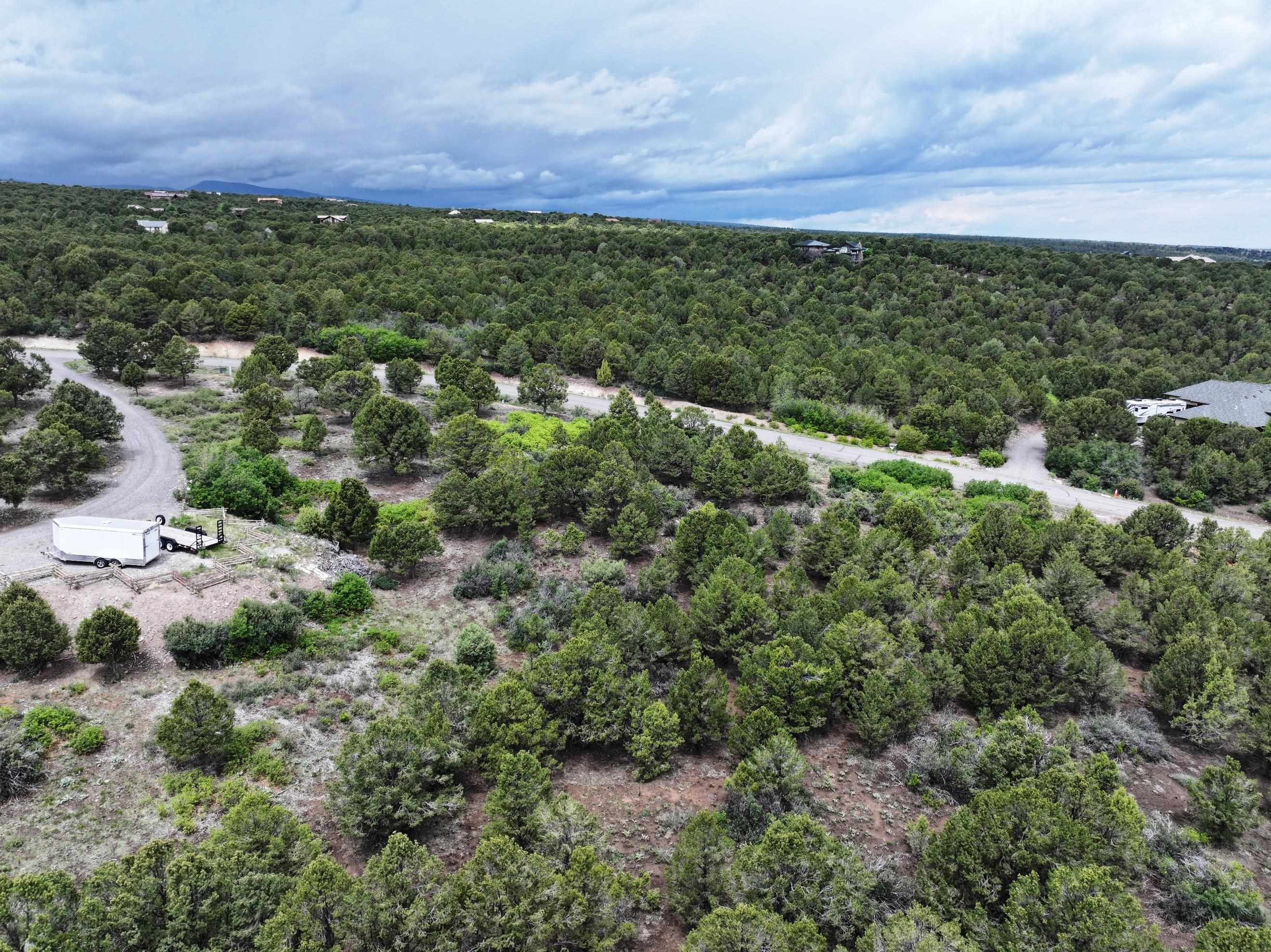 Tbd Pine Drive Property Photo 23