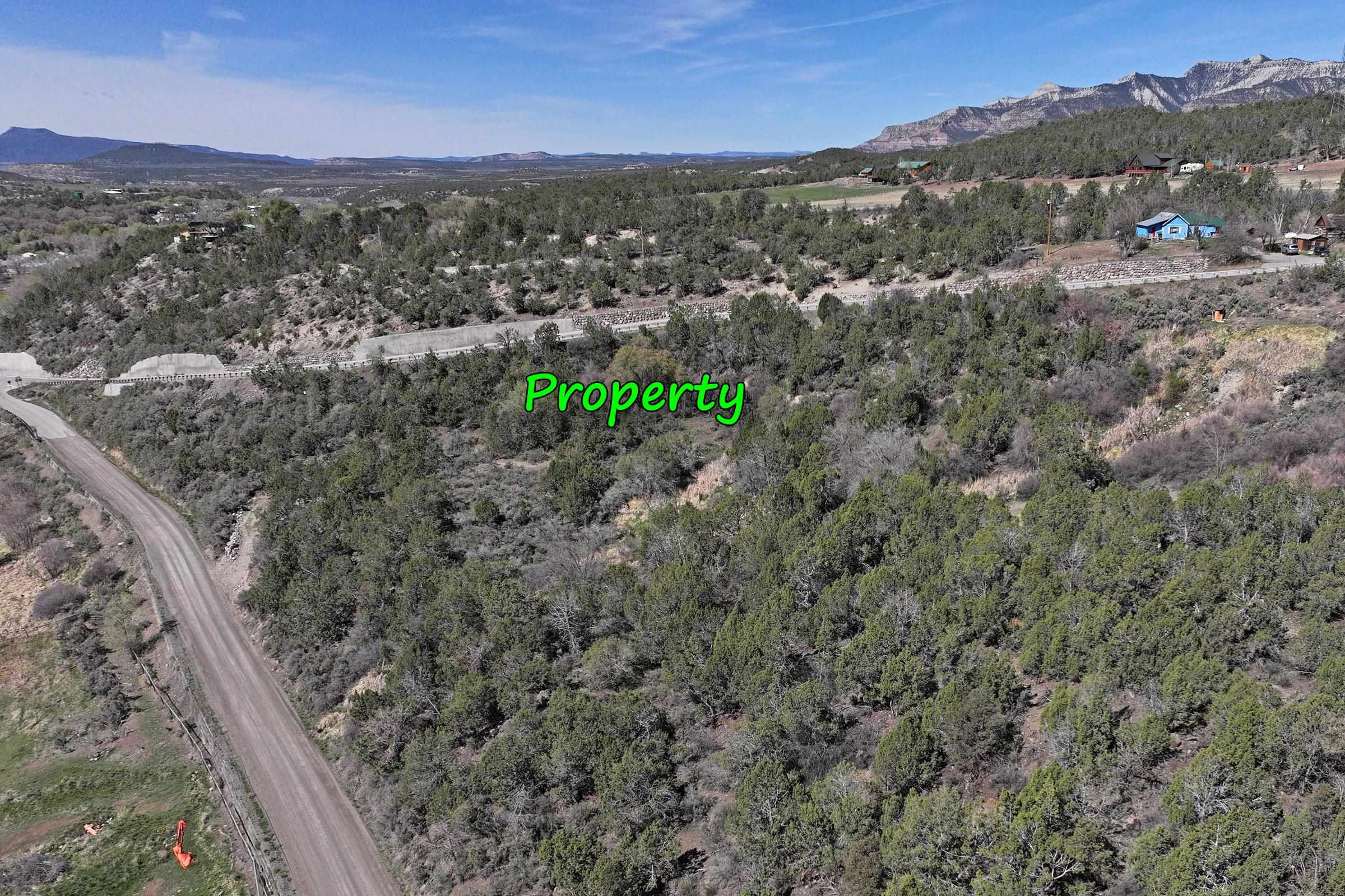 58450 Buzzard Creek Road Property Photo 5