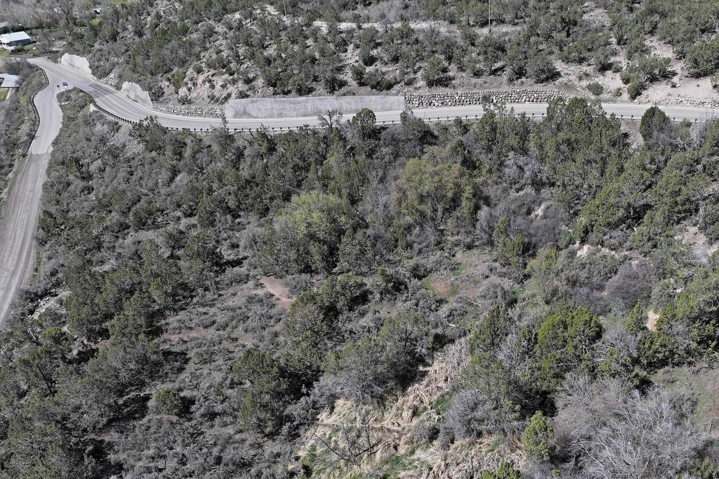 58450 Buzzard Creek Road Property Photo 6
