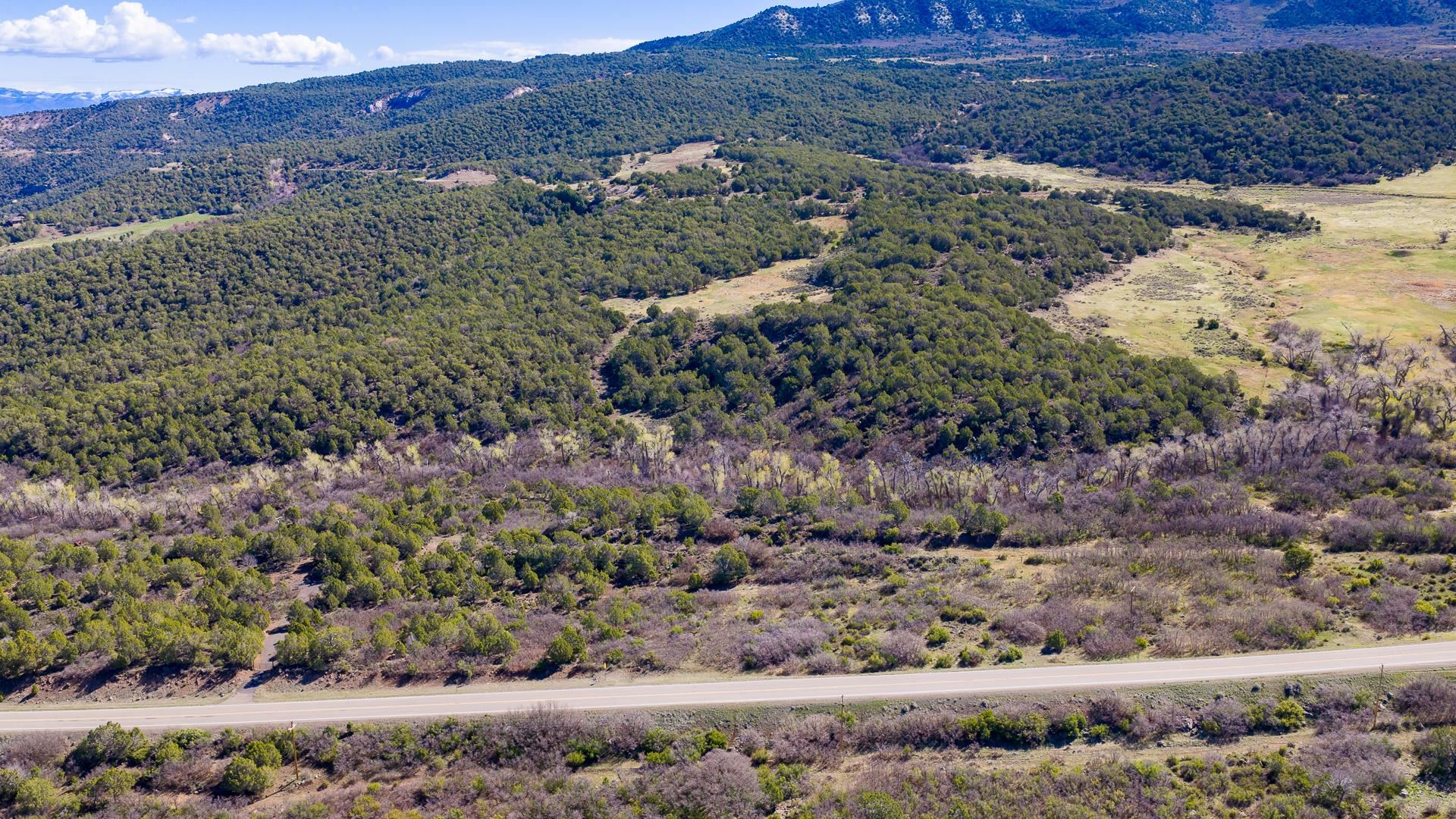 7780 Highway 65 Property Photo 11