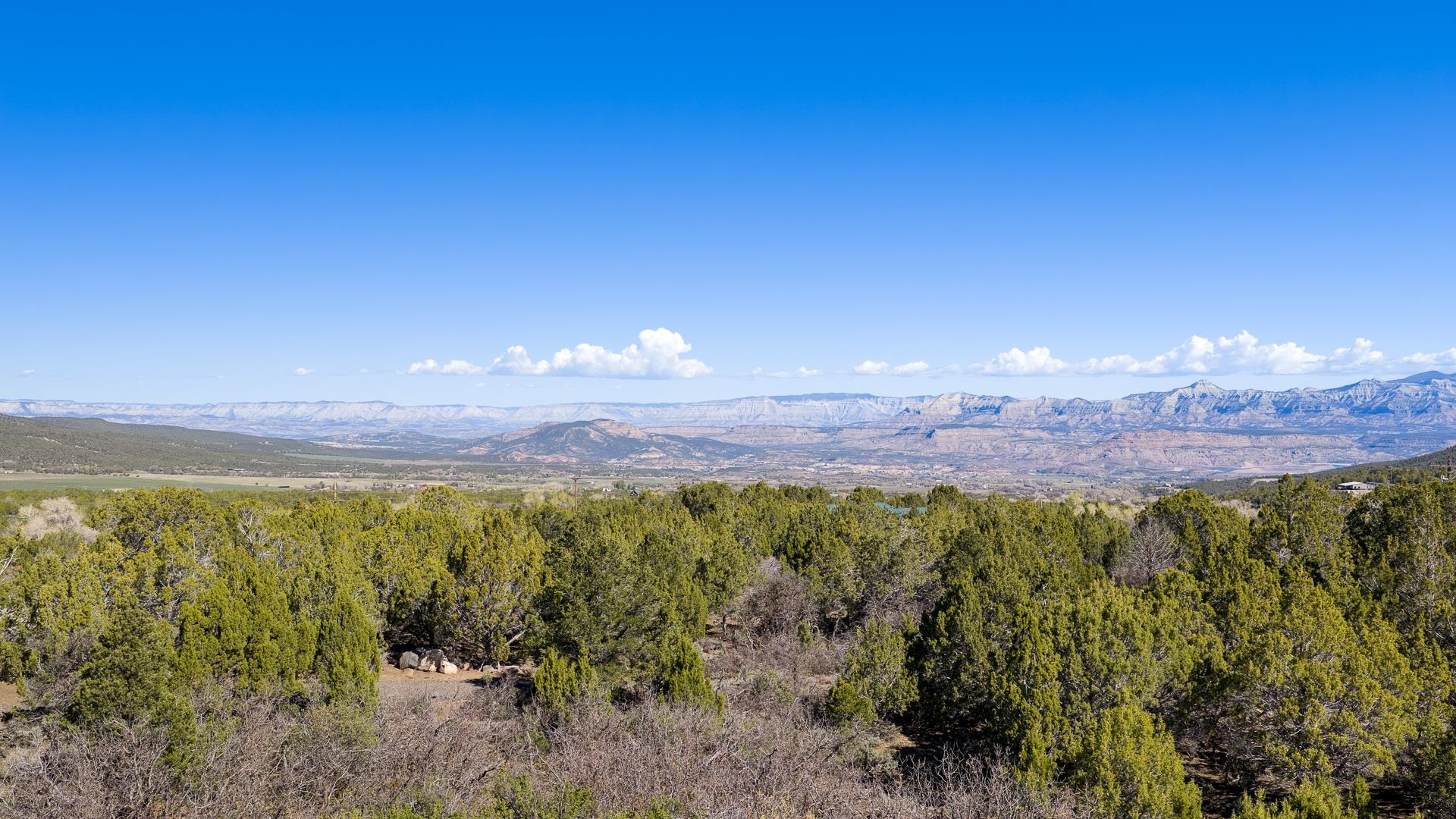 7780 Highway 65 Property Photo 14