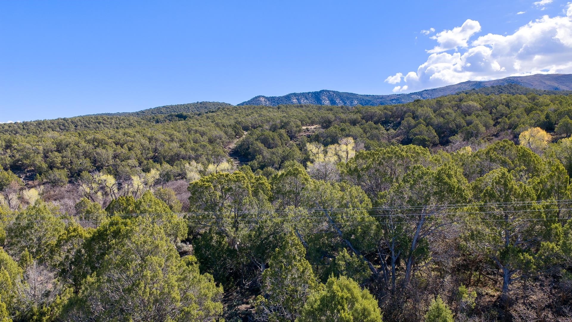 7780 Highway 65 Property Photo 15