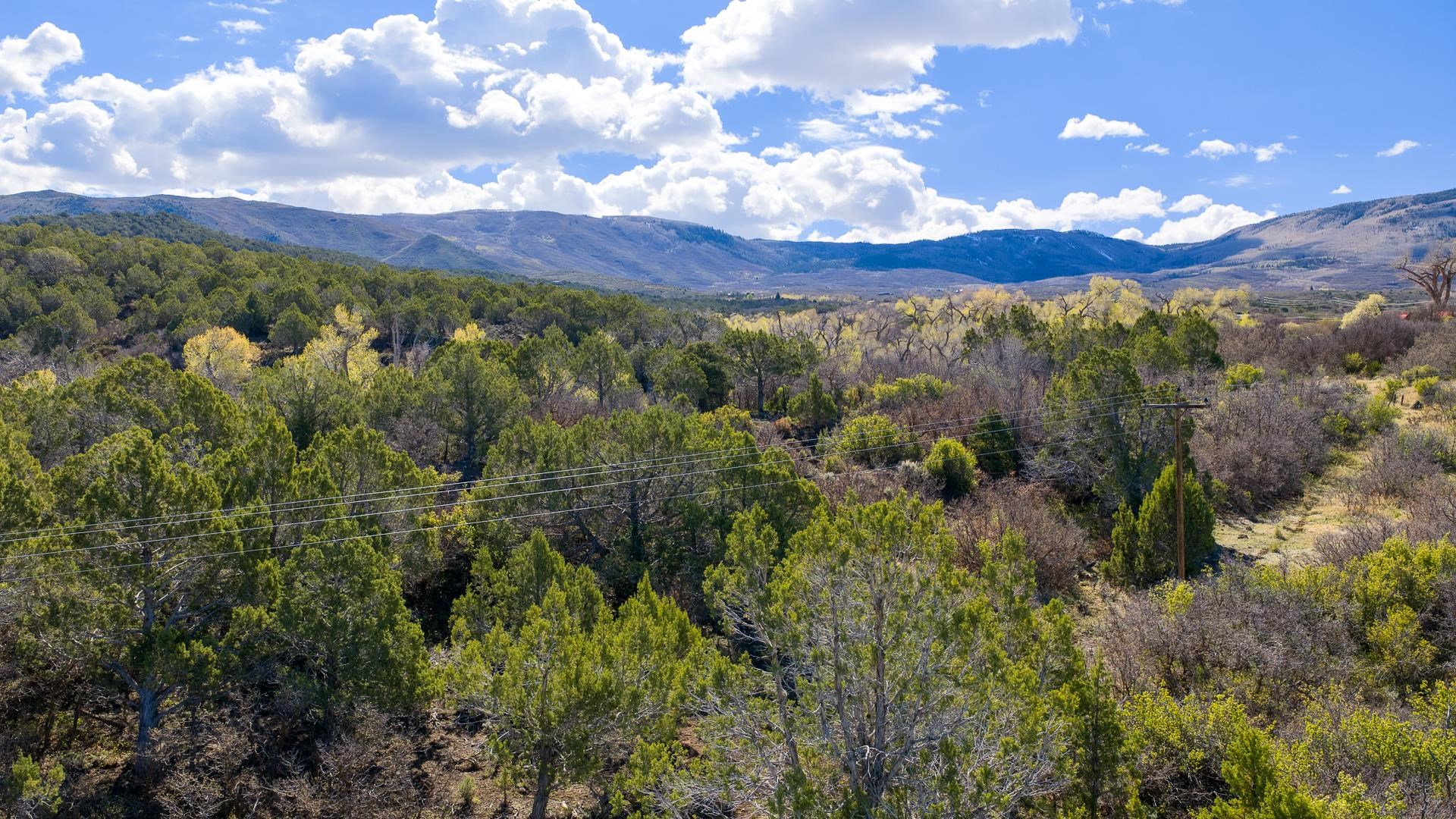 7780 Highway 65 Property Photo 16