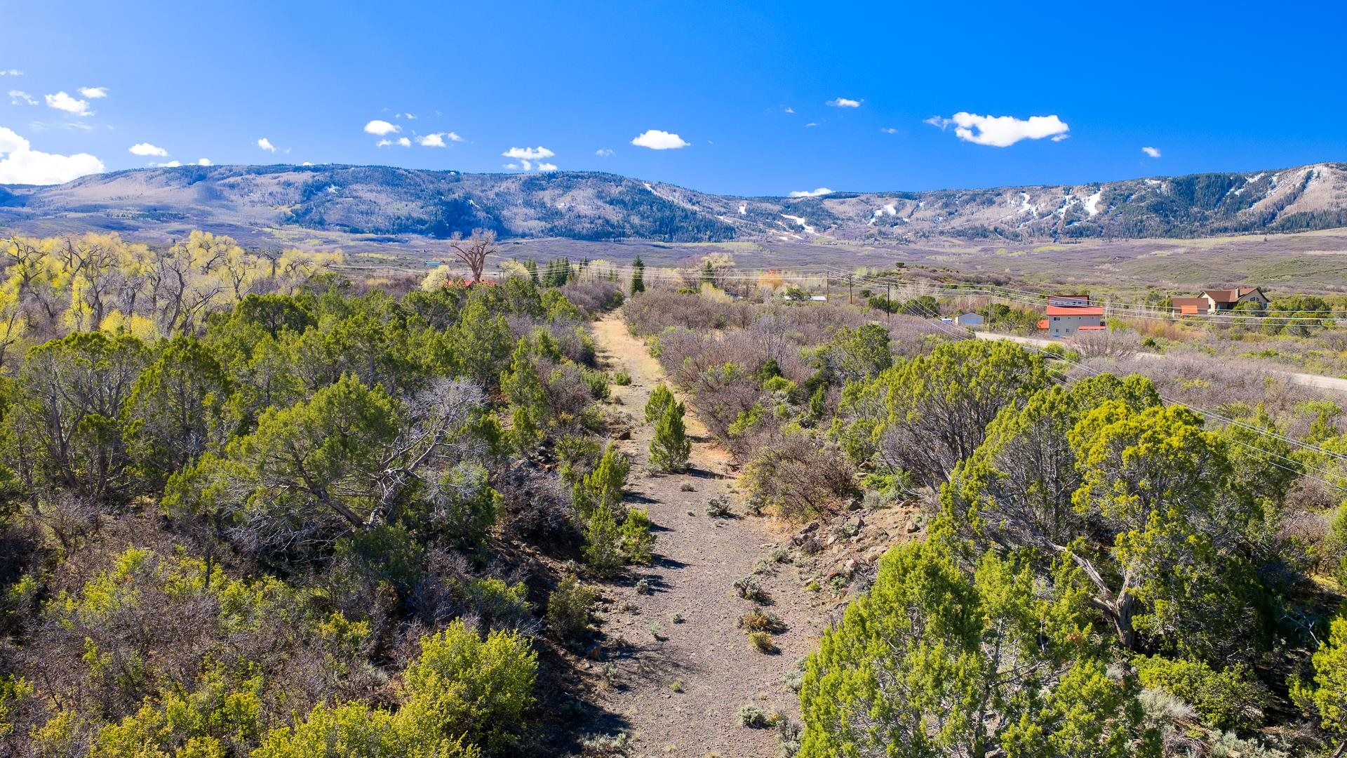 7780 Highway 65 Property Photo 19