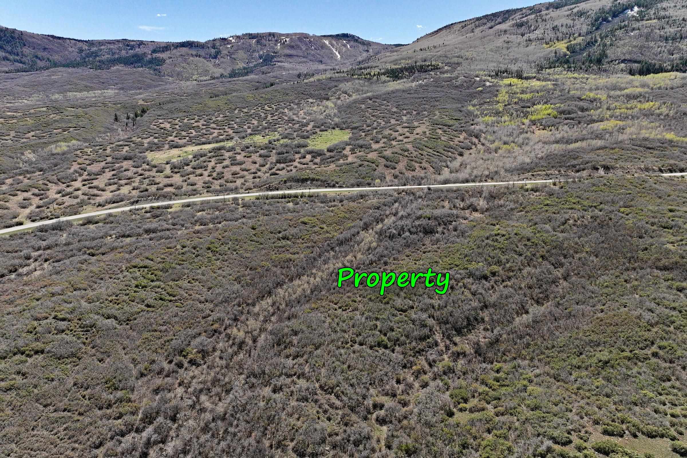 5962 Highway 65 Property Photo 3
