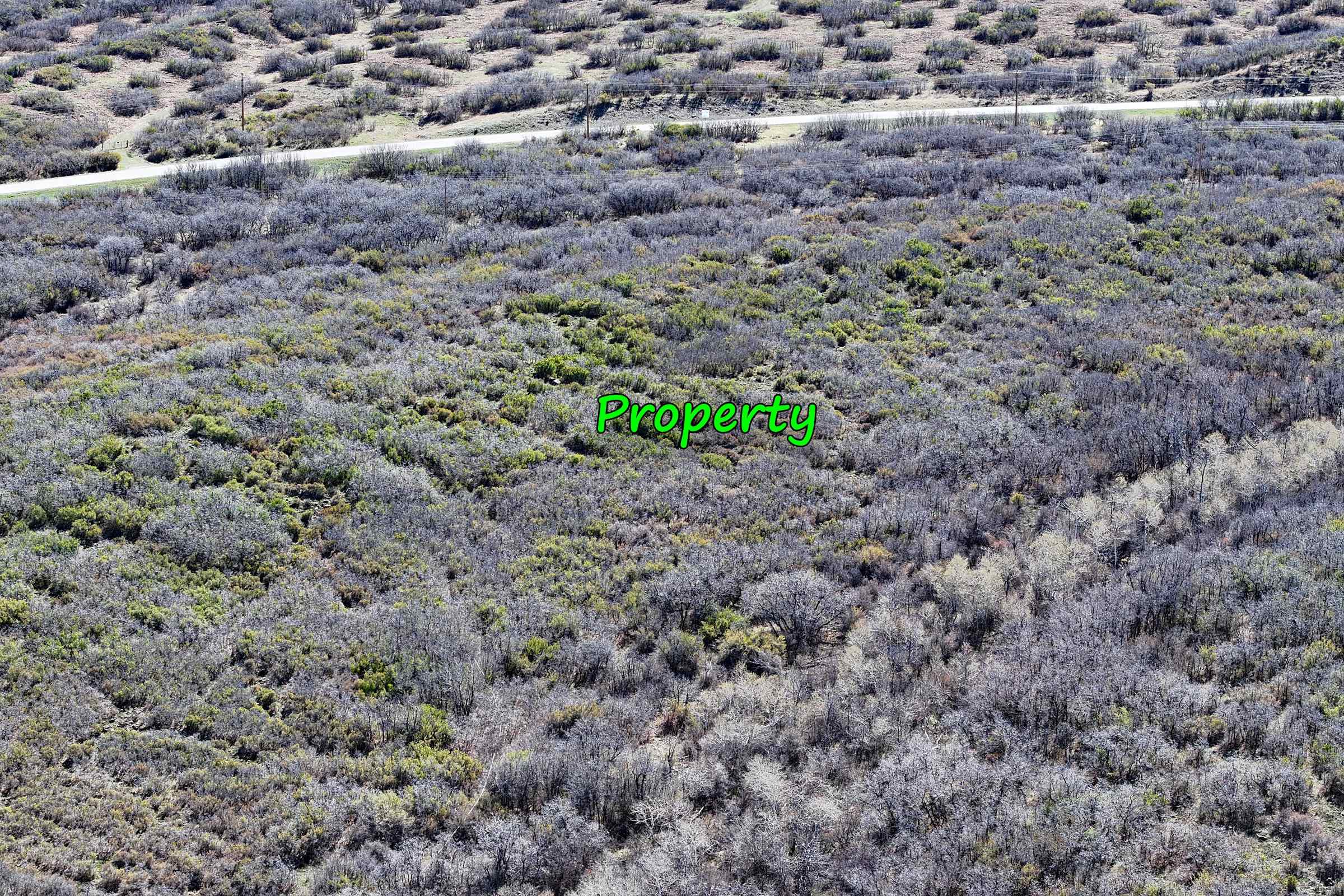 5962 Highway 65 Property Photo 5