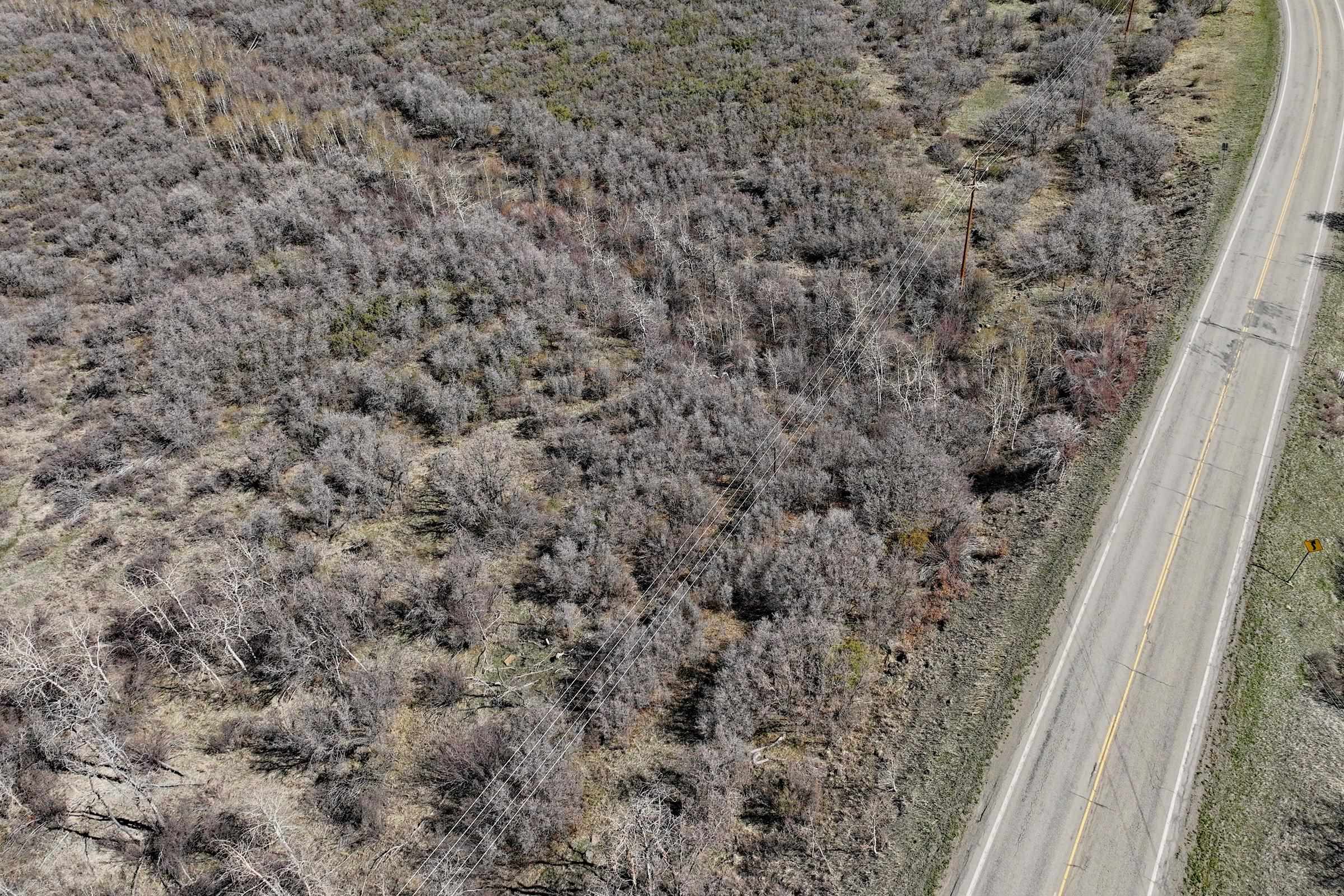 5962 Highway 65 Property Photo 8