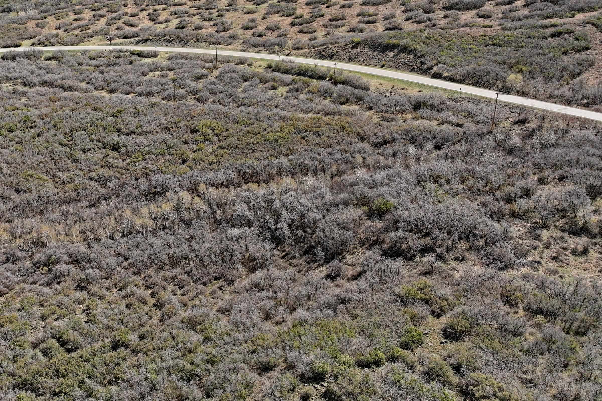 5962 Highway 65 Property Photo 10