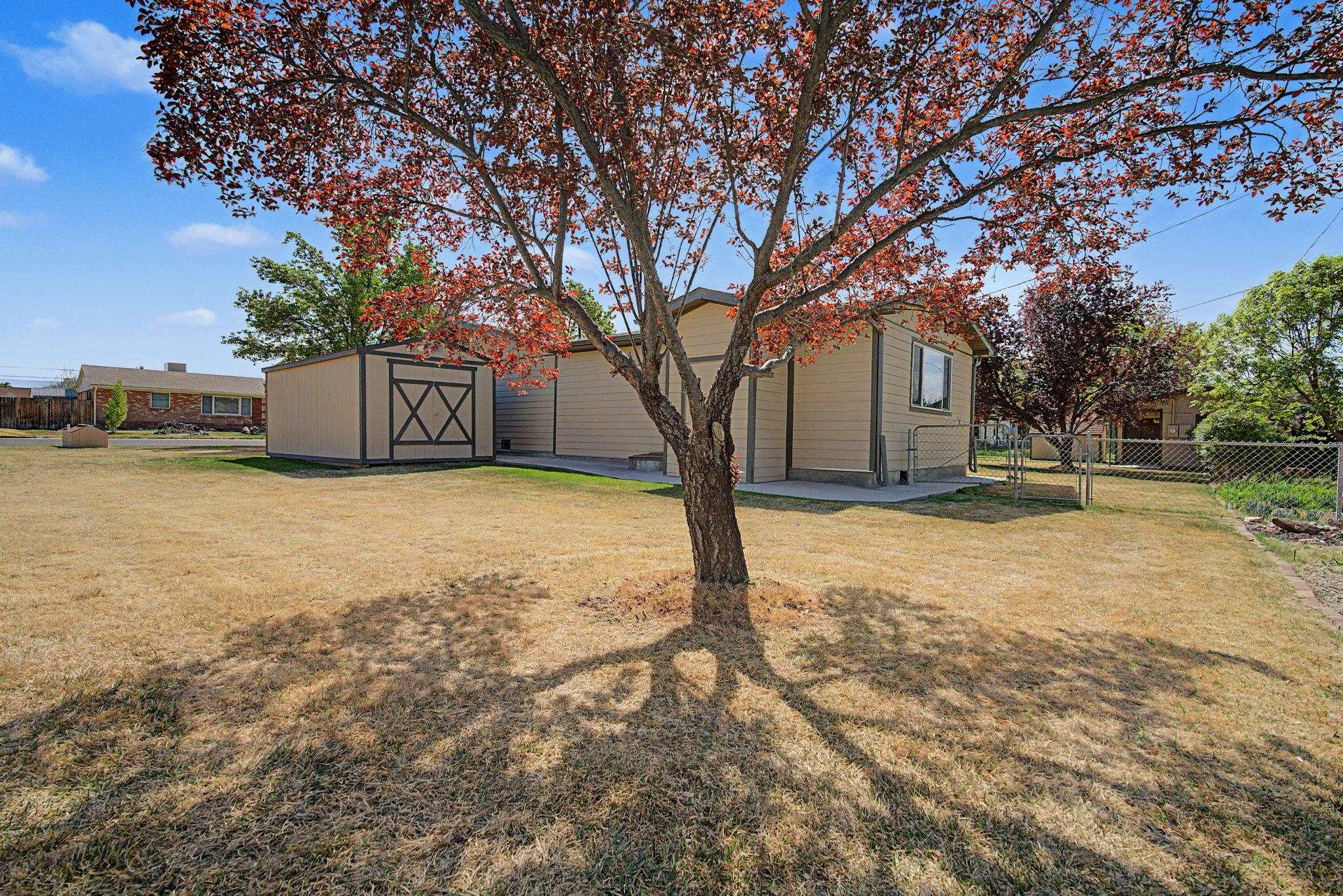 1809 Juniper Street Property Photo 42