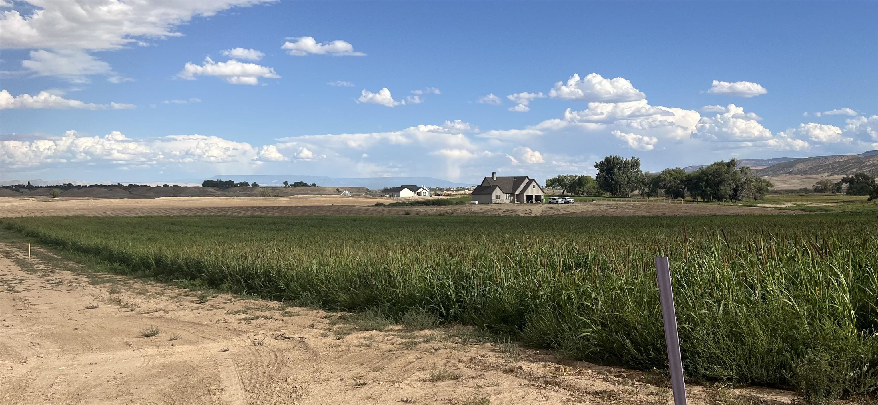 1664 8 Road Property Photo 8