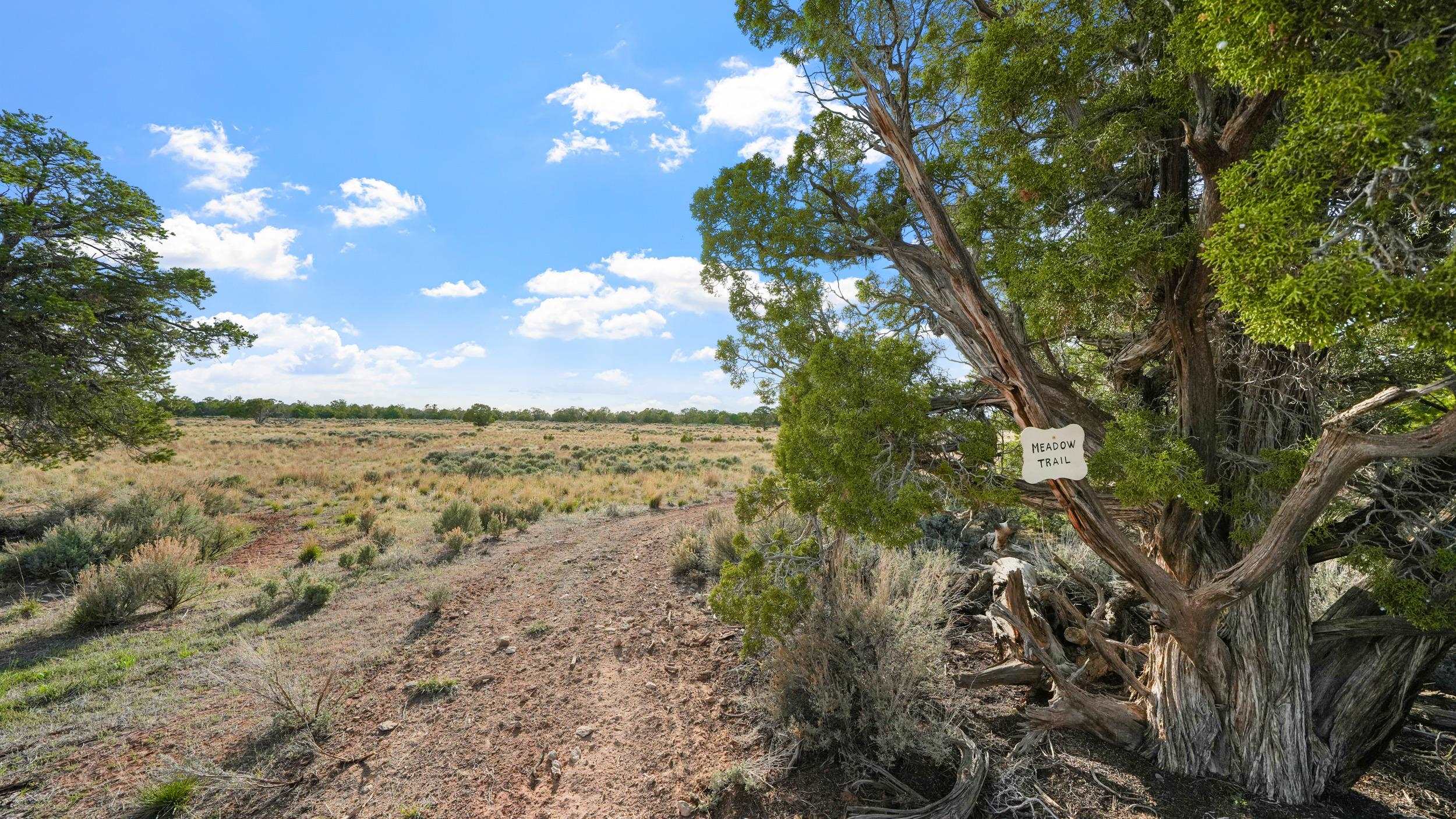 330 Canyon Ridge Drive Property Photo 38