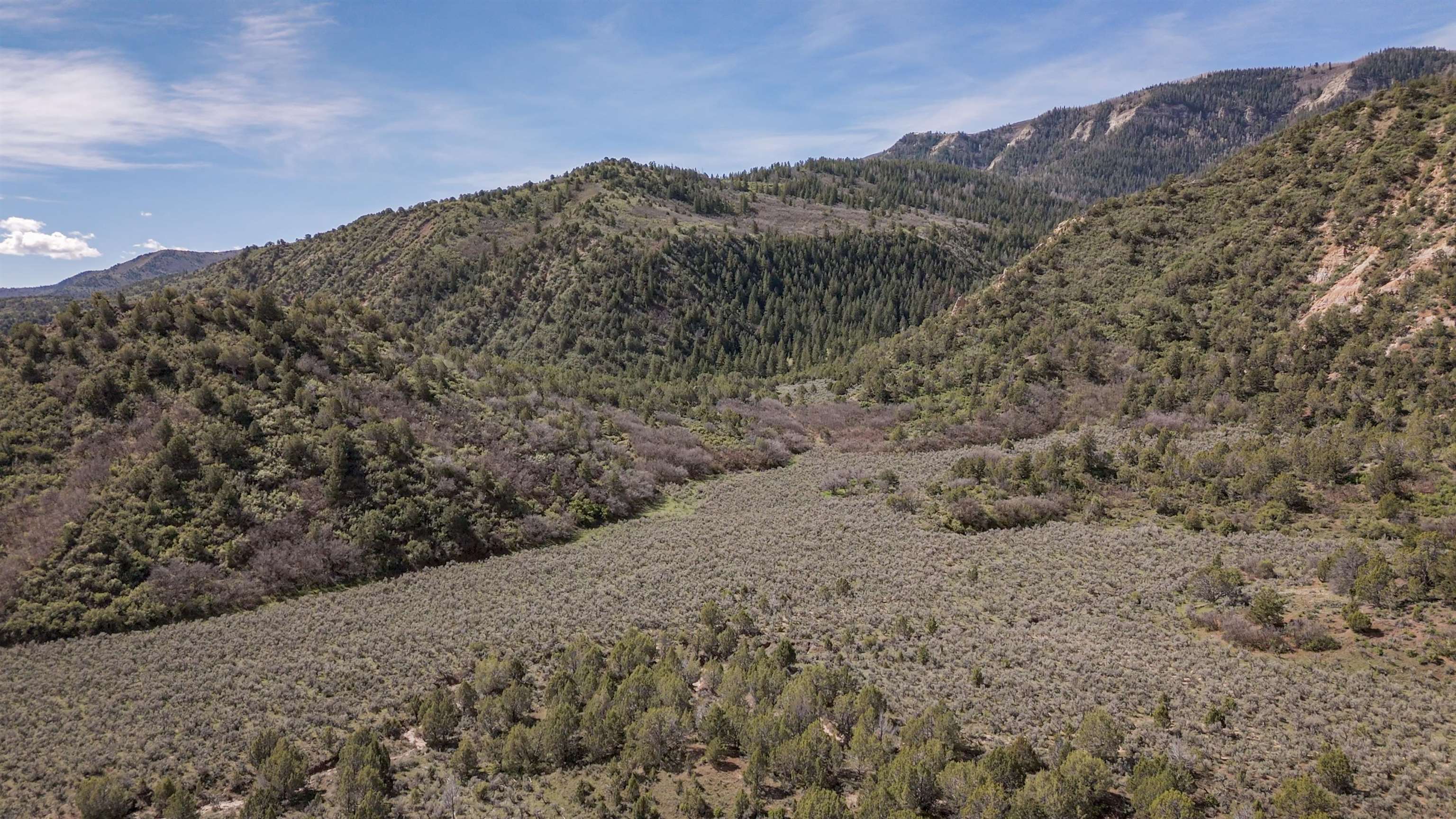 11799 Highway 13 Property Photo 3