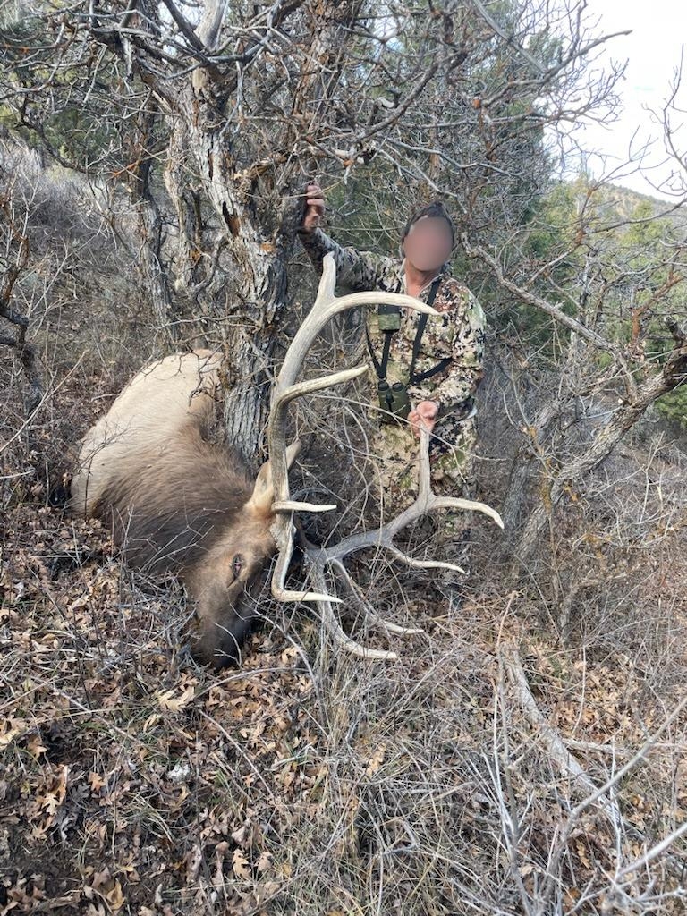 11799 Highway 13 Property Photo 9