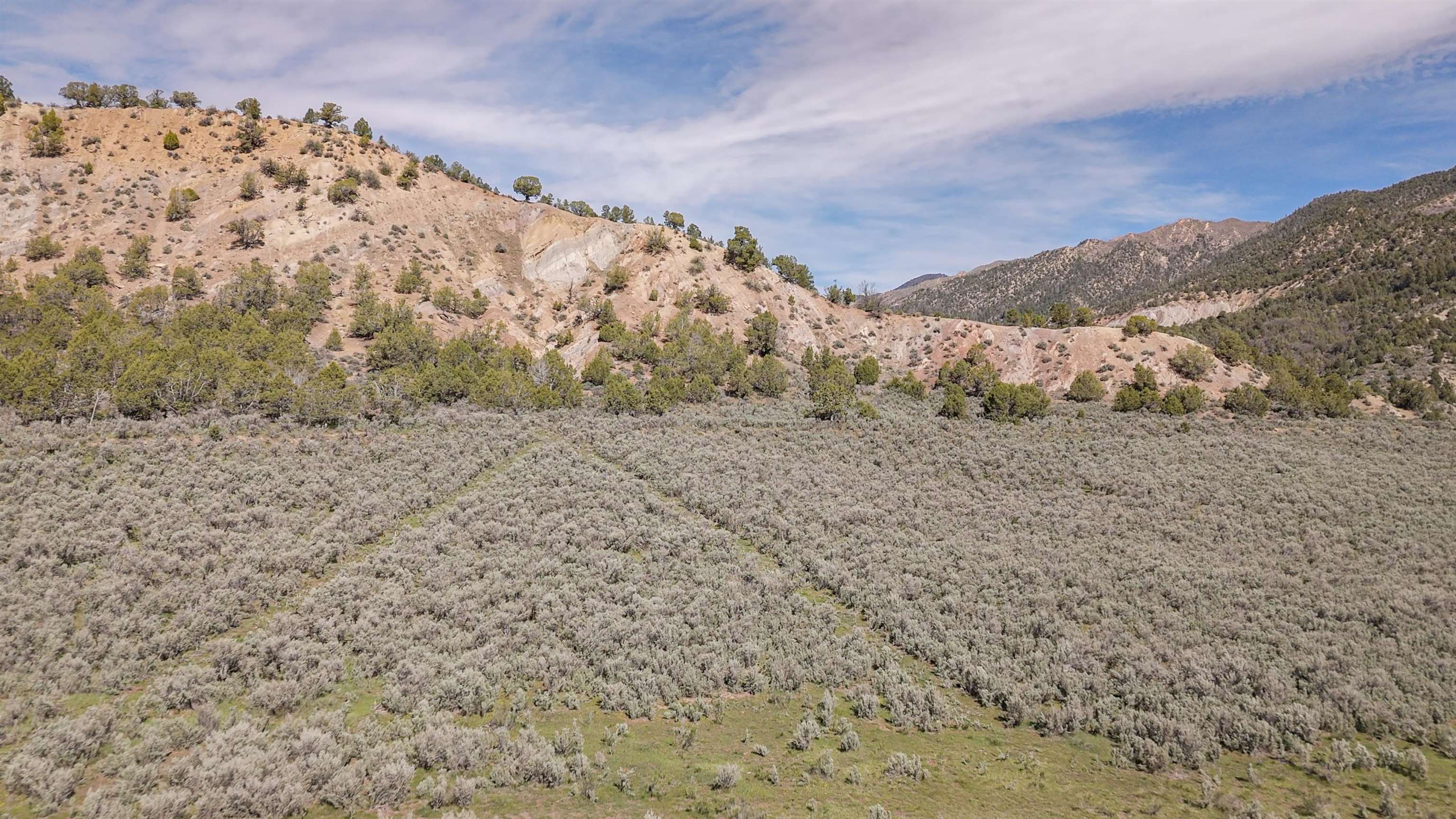 11799 Highway 13 Property Photo 11