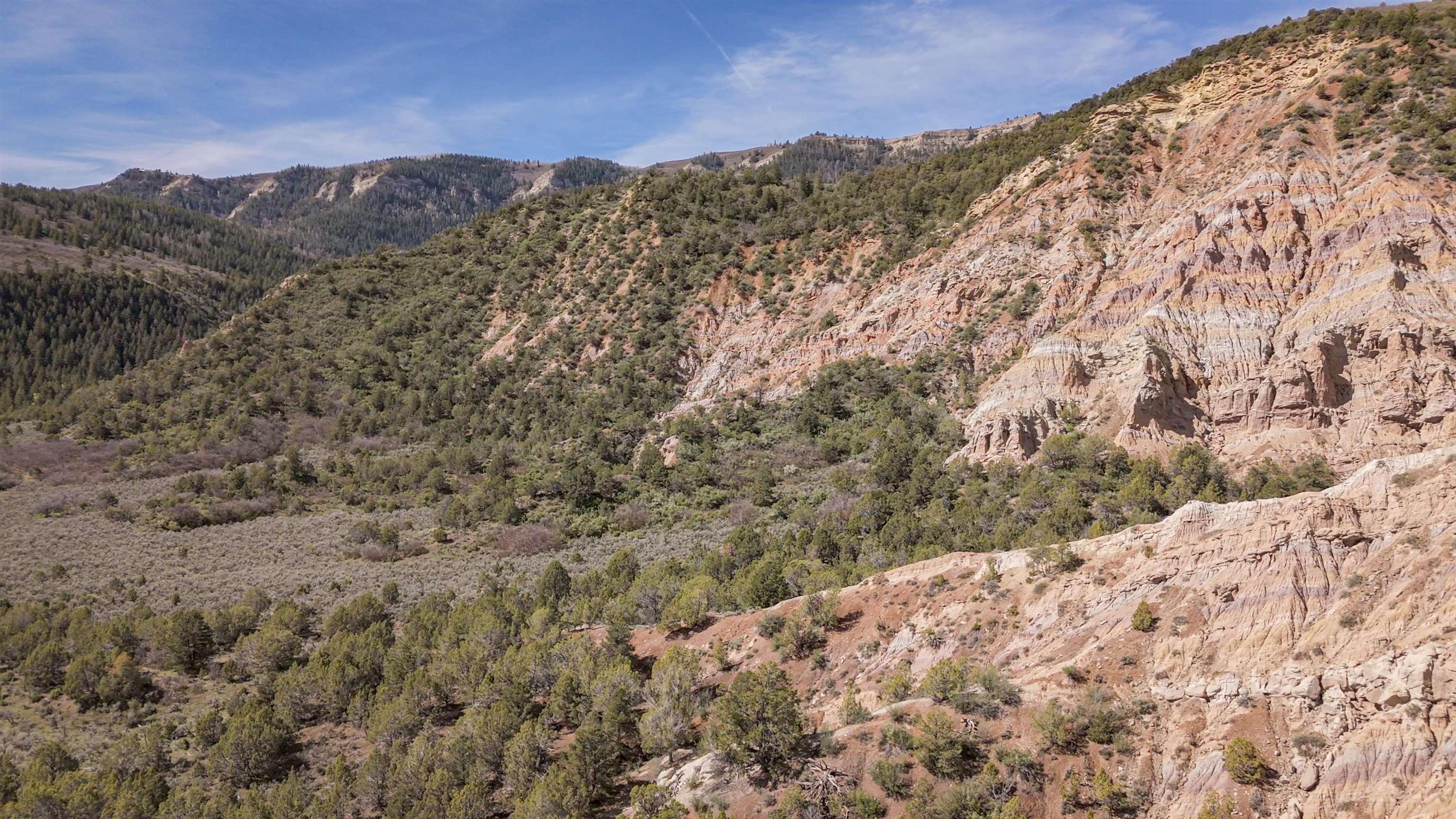 11799 Highway 13 Property Photo 12