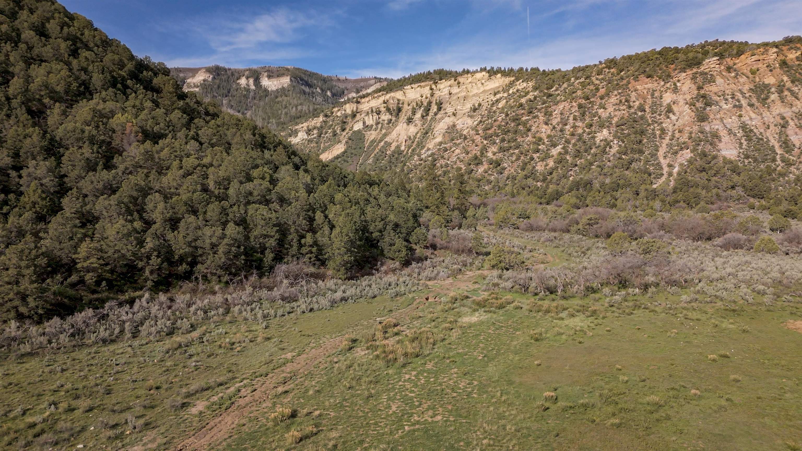 11799 Highway 13 Property Photo 15