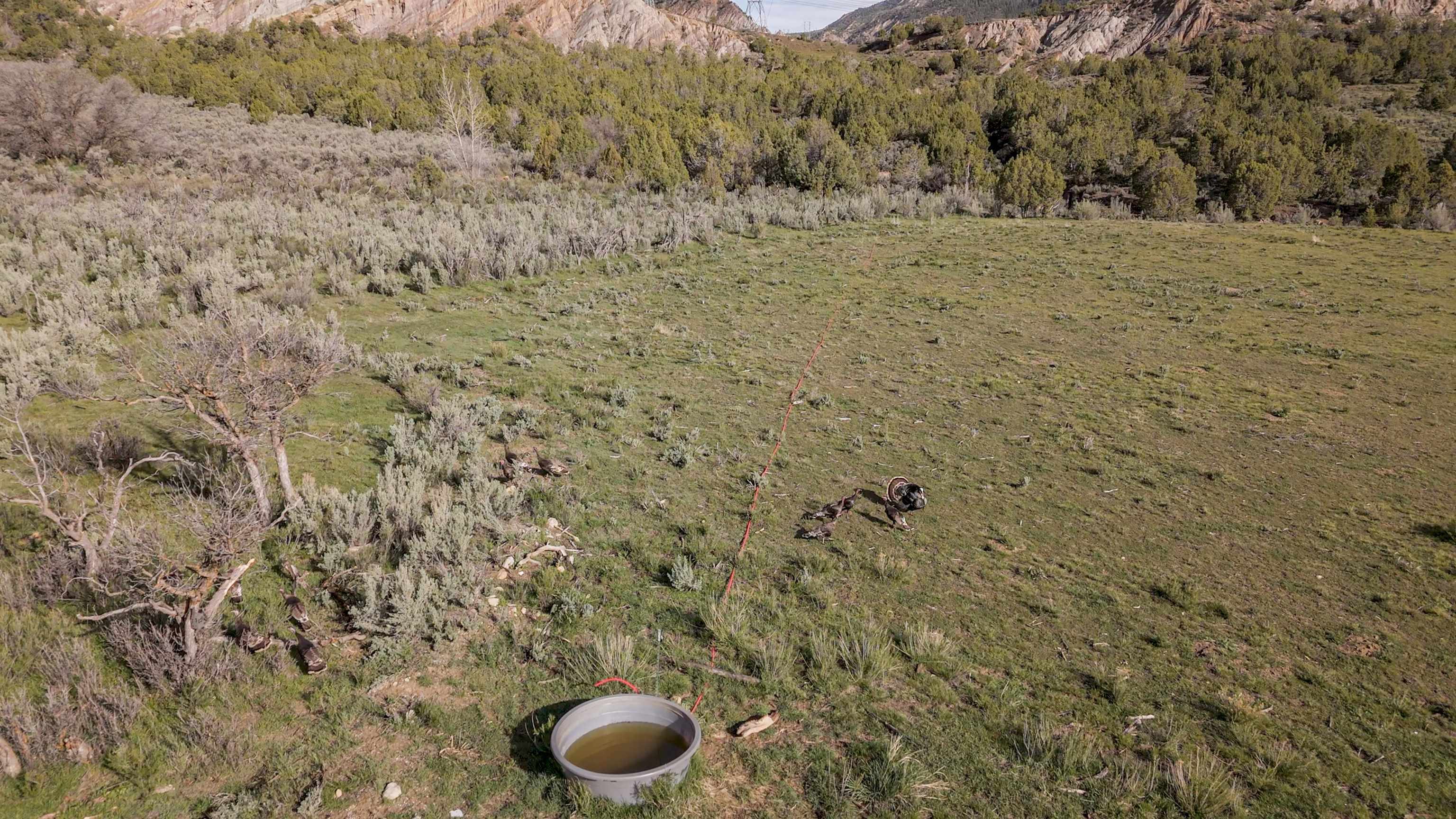 11799 Highway 13 Property Photo 16