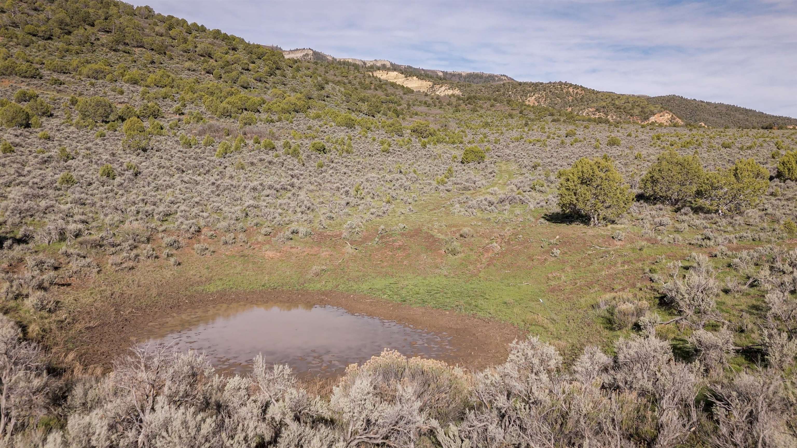 11799 Highway 13 Property Photo 18