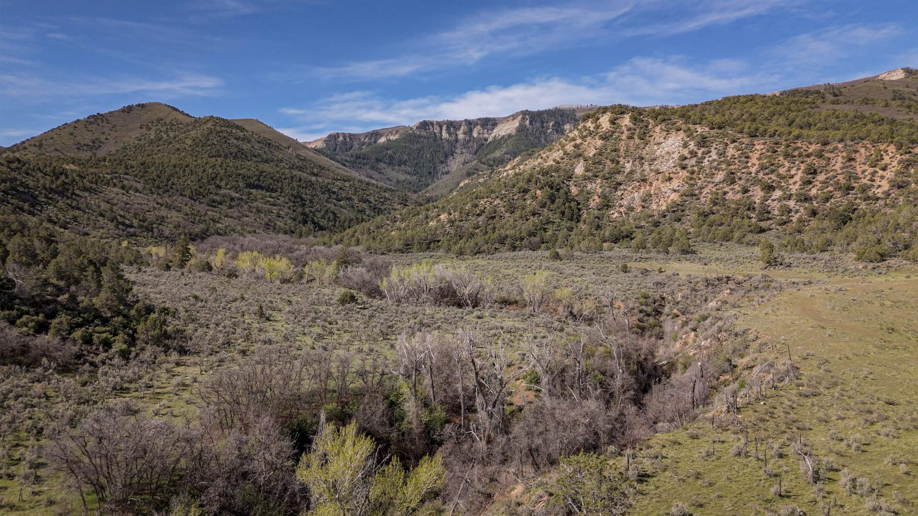 11799 Highway 13 Property Photo 25