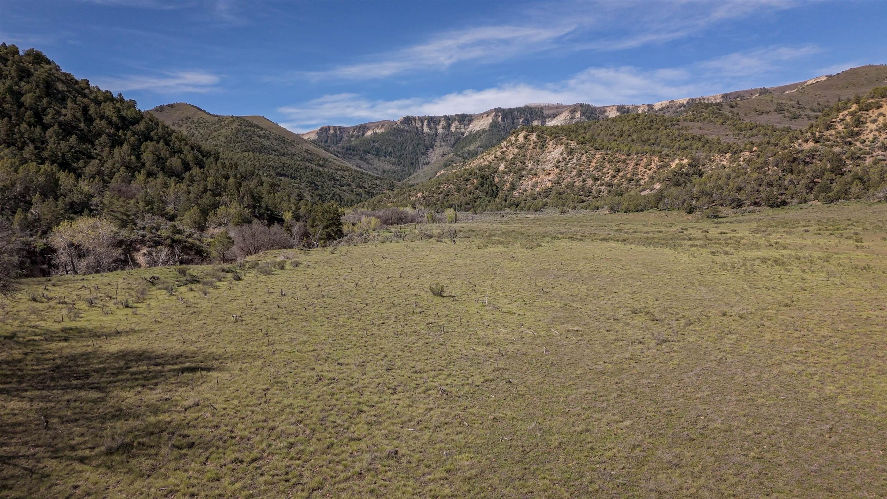 11799 Highway 13 Property Photo 26