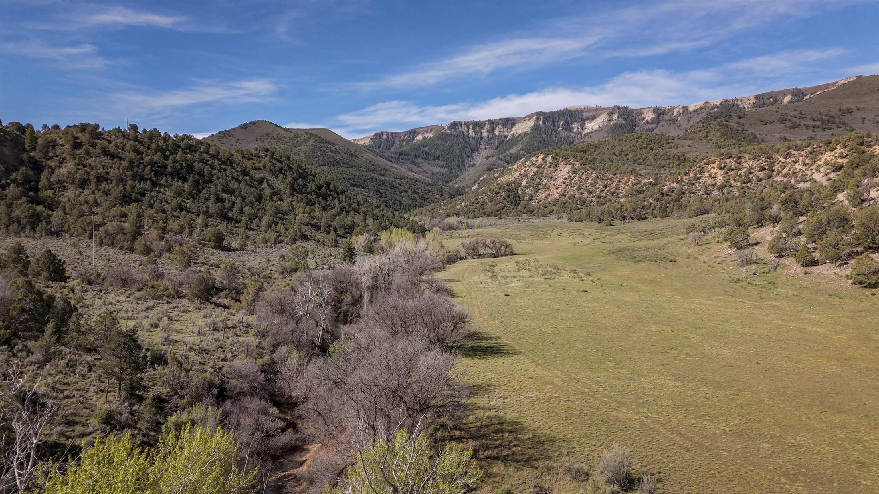 11799 Highway 13 Property Photo 27