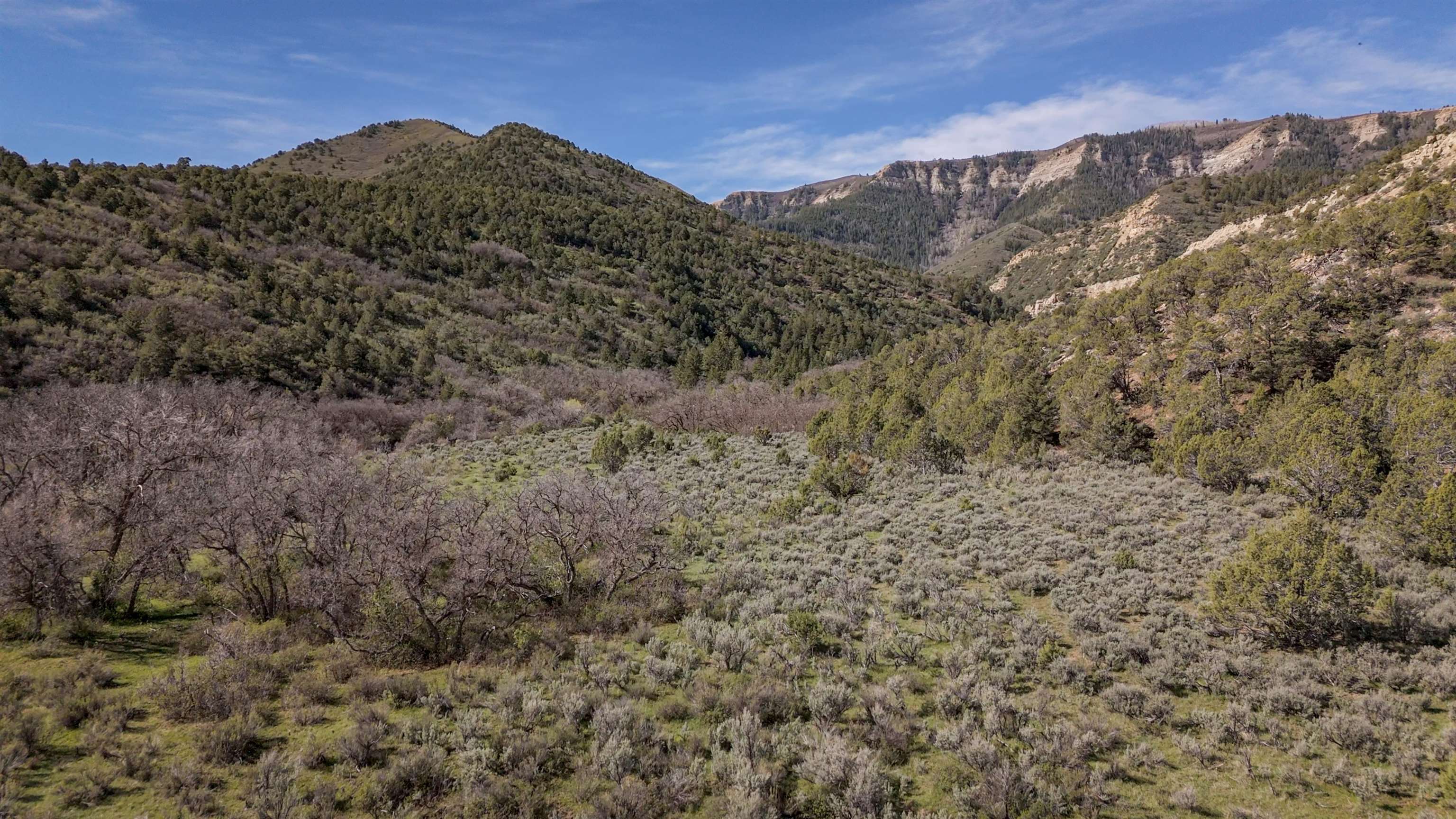 11799 Highway 13 Property Photo 29