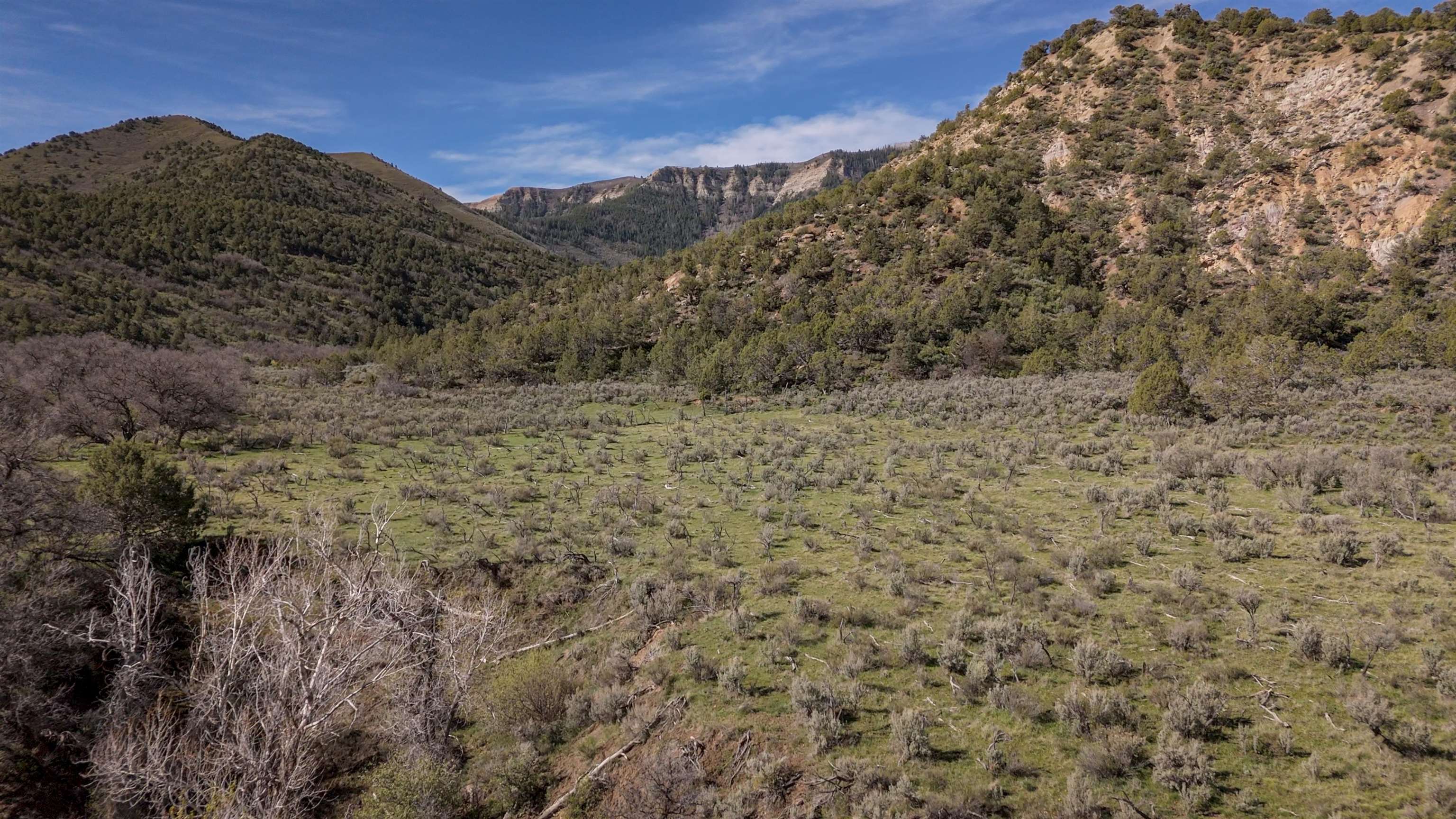 11799 Highway 13 Property Photo 31