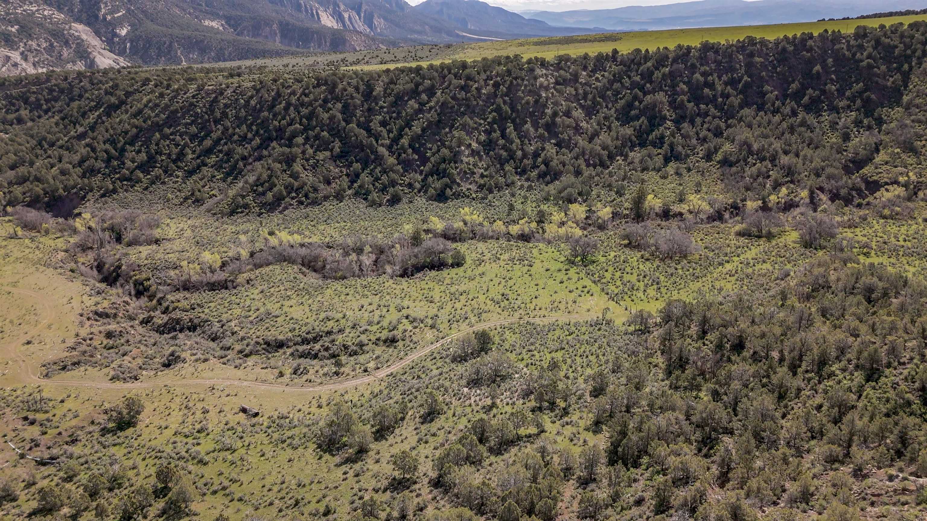 11799 Highway 13 Property Photo 32