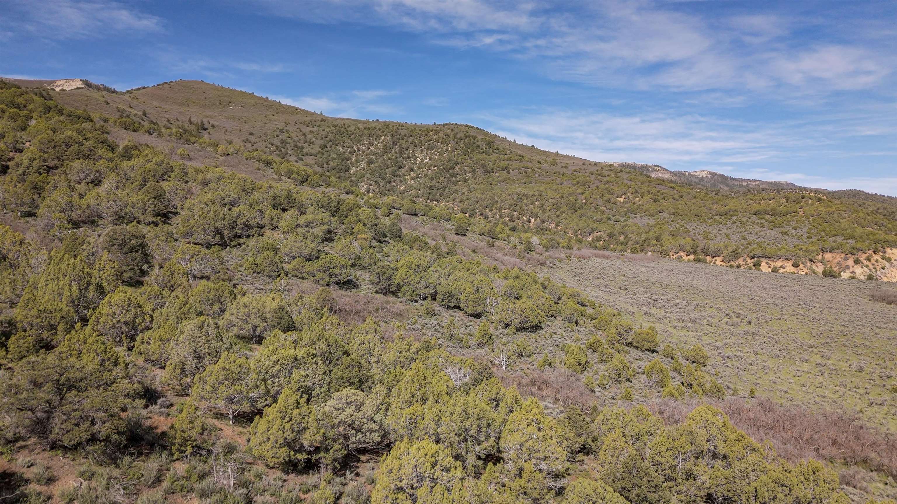 11799 Highway 13 Property Photo 34
