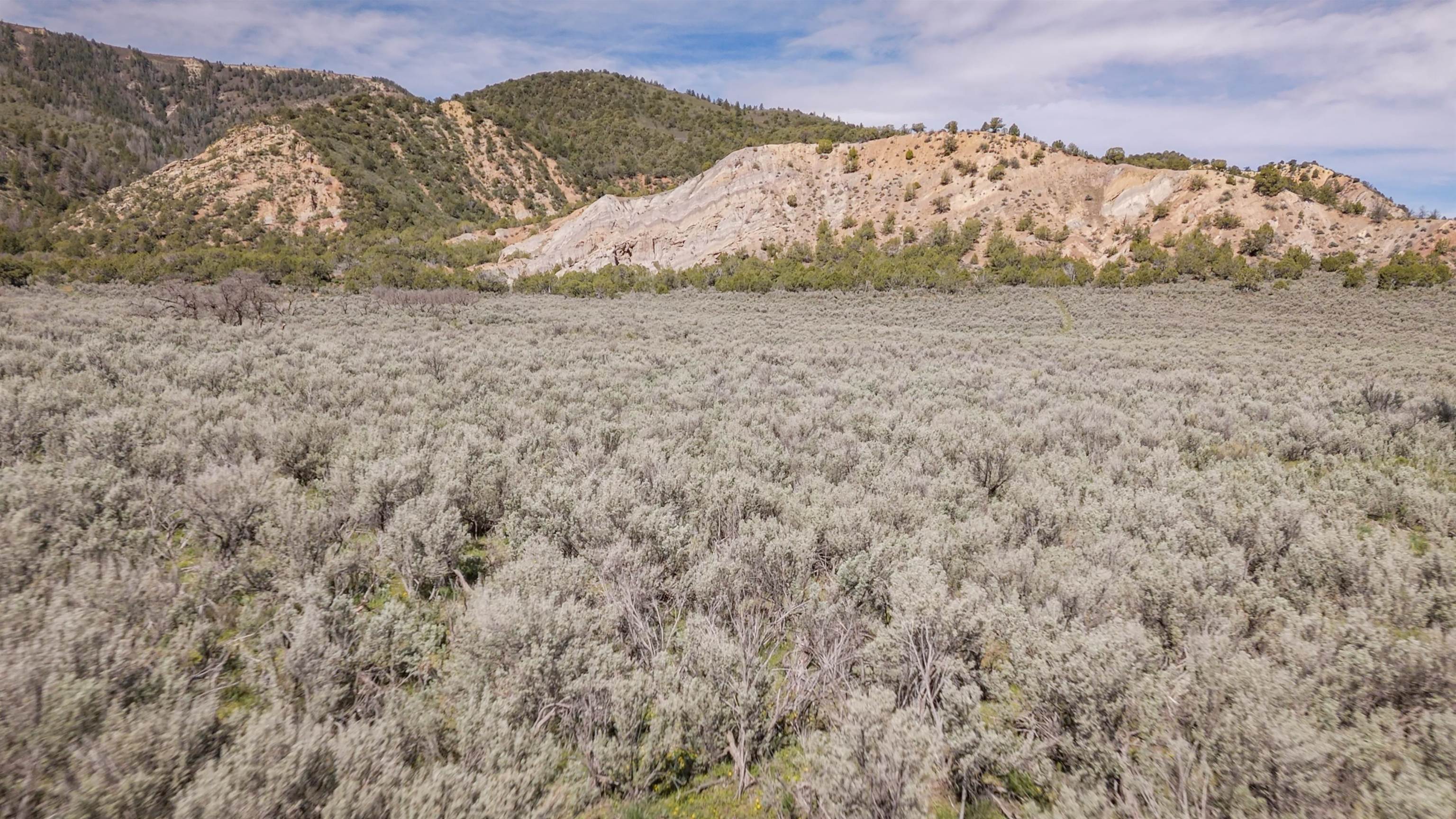 11799 Highway 13 Property Photo 37