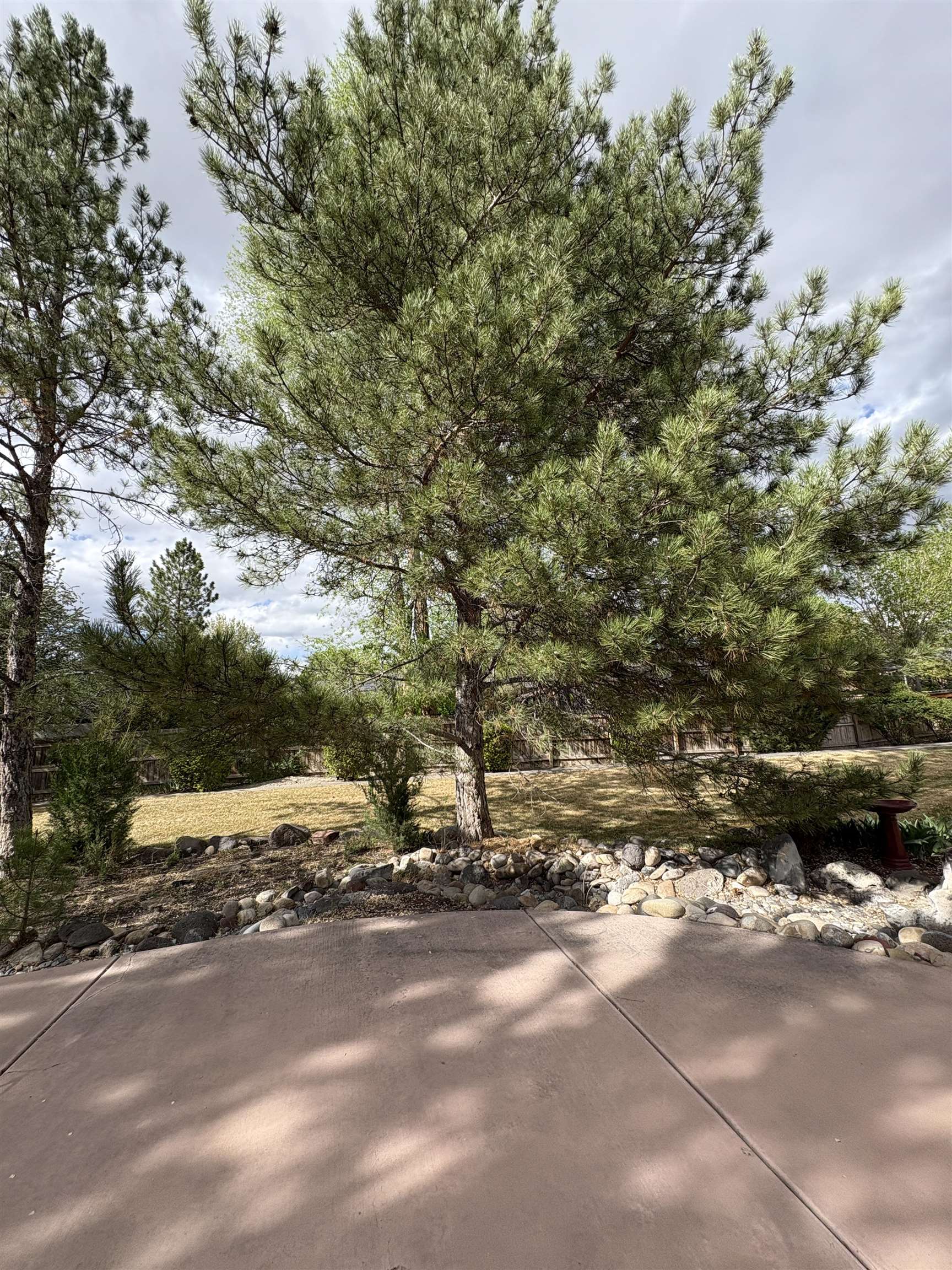 679 Stepaside Drive Property Photo 32