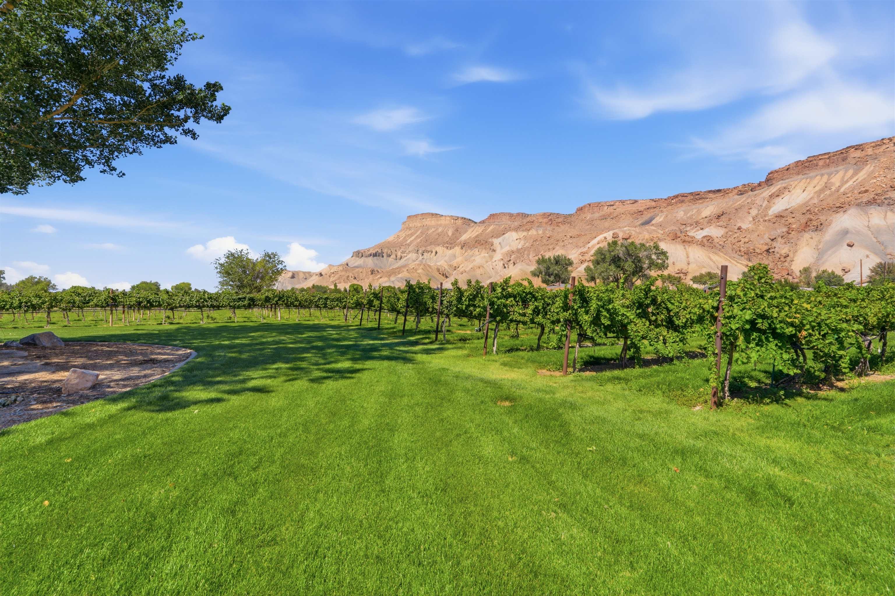 759 36 3/10 Road Property Photo 12