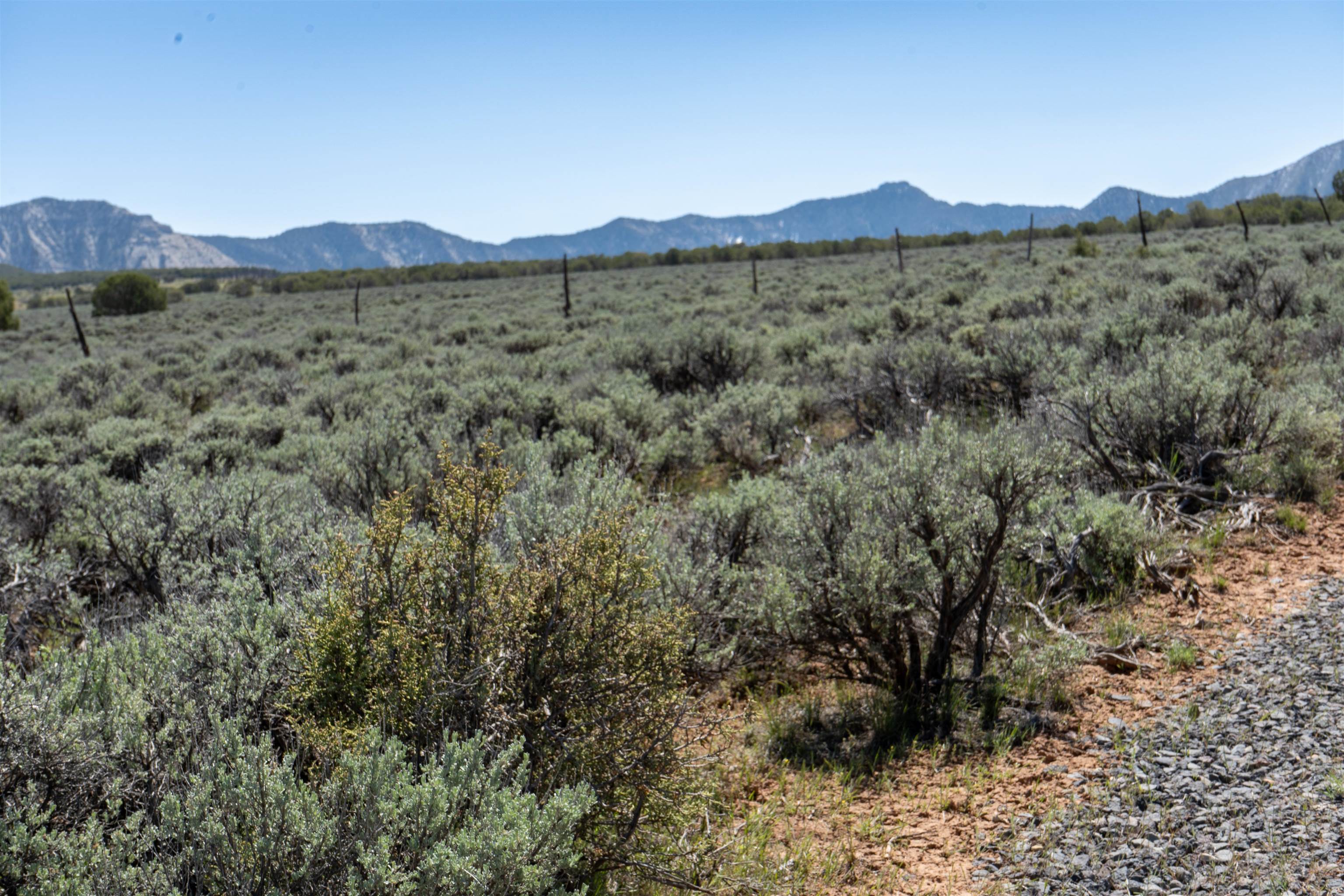 Tbd T Road Property Photo 8