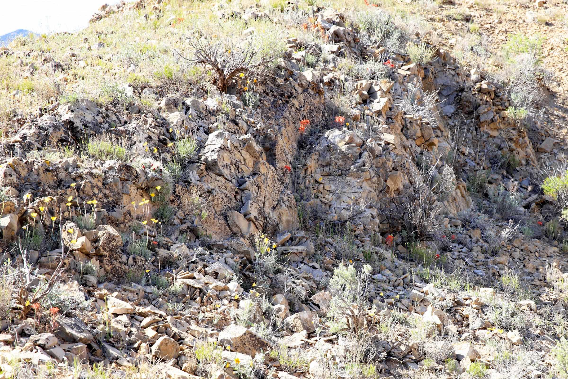 Tbd Tbd Property Photo 32