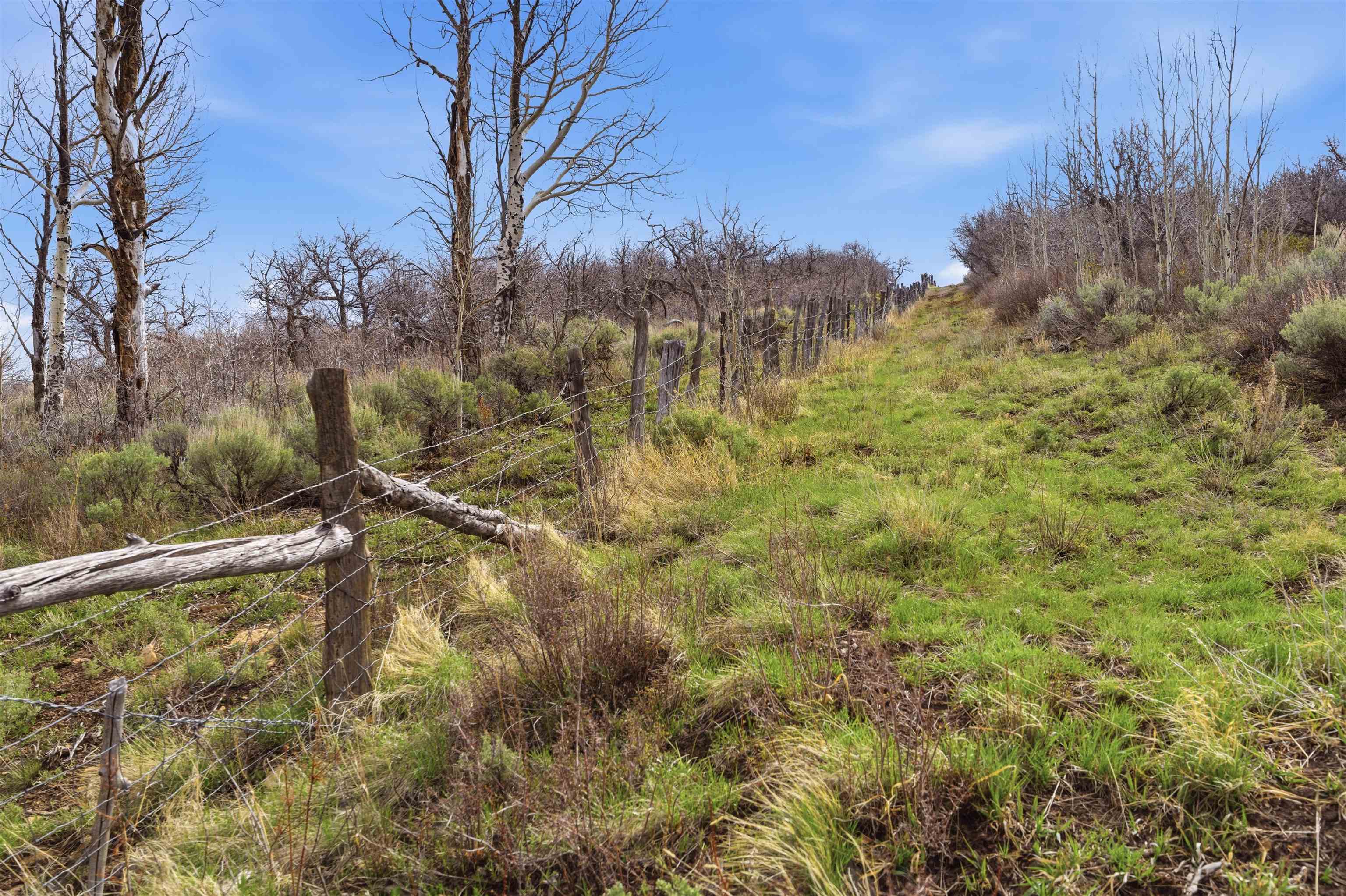 Tbd Tbd Property Photo 10