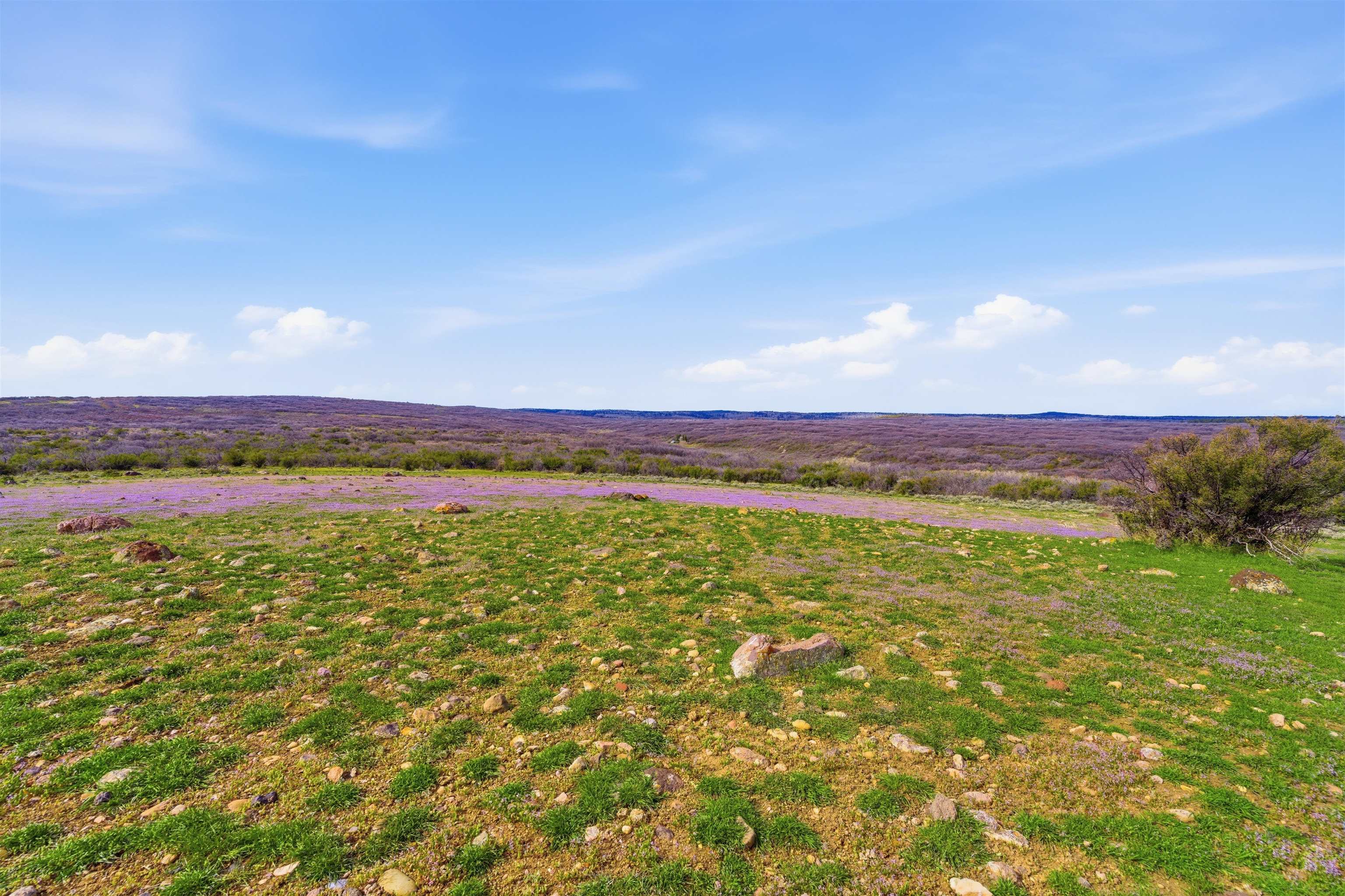 Tbd Tbd Property Photo 11