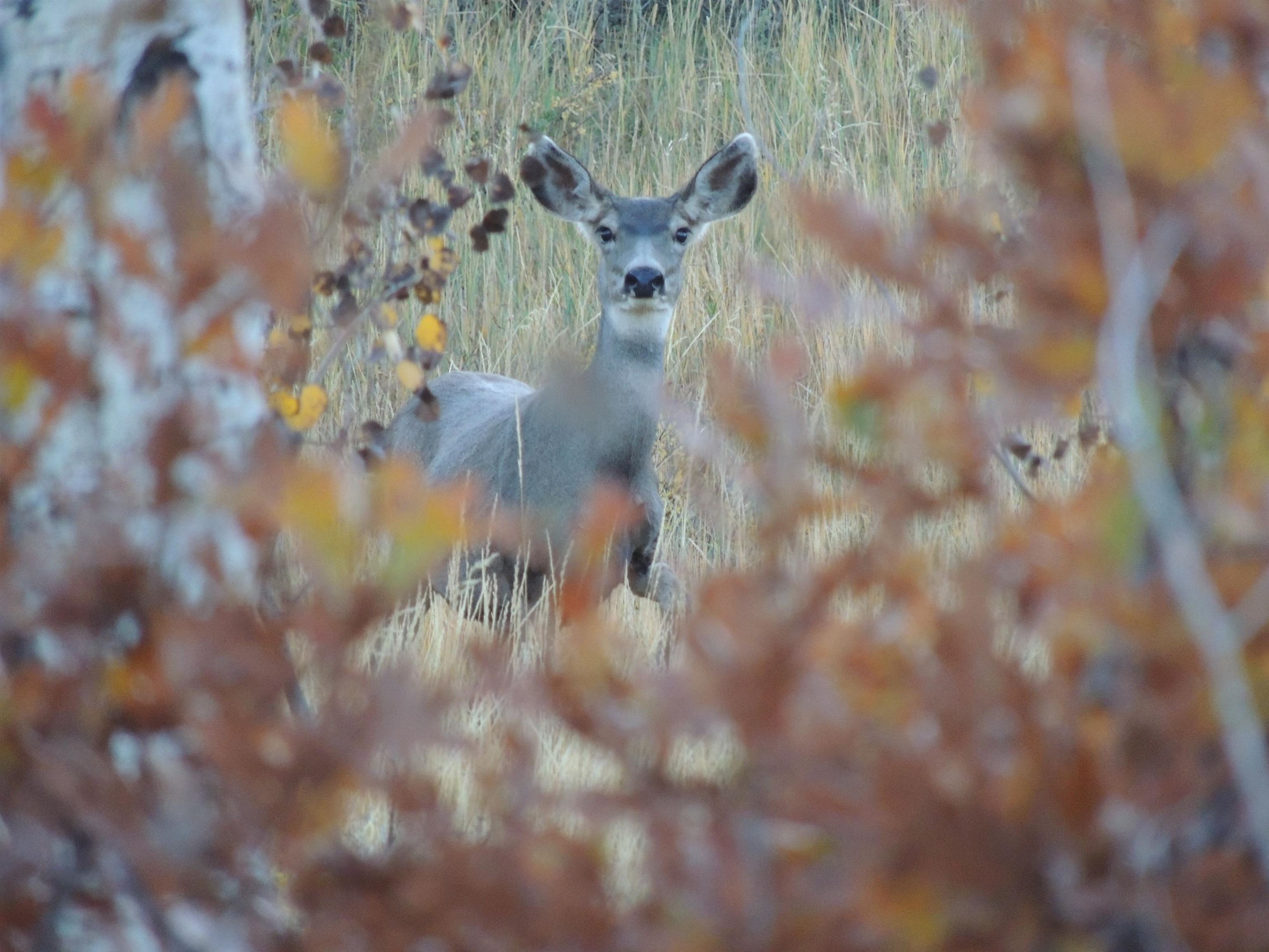 Tbd Tbd Property Photo 26