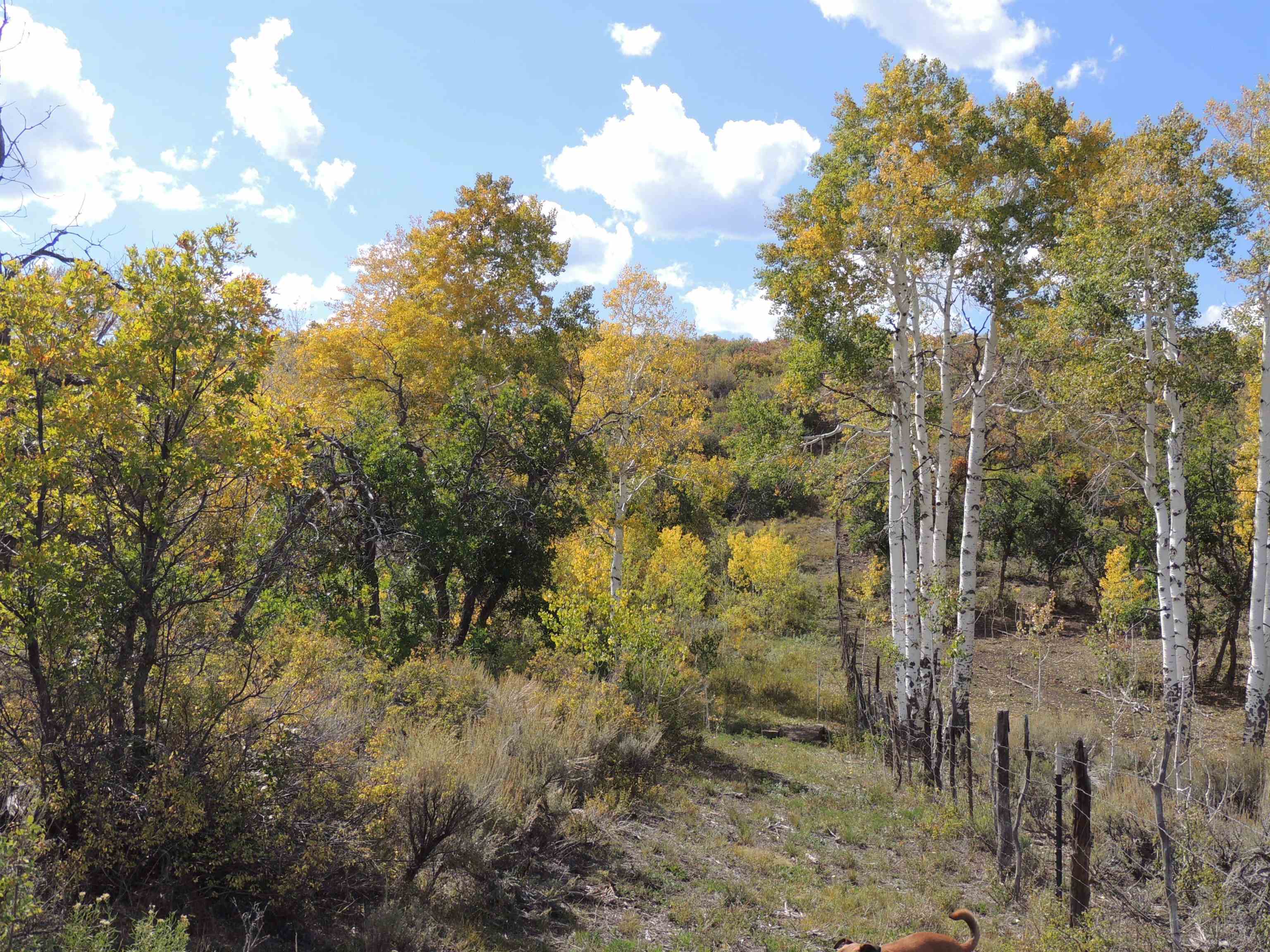Tbd Tbd Property Photo 27