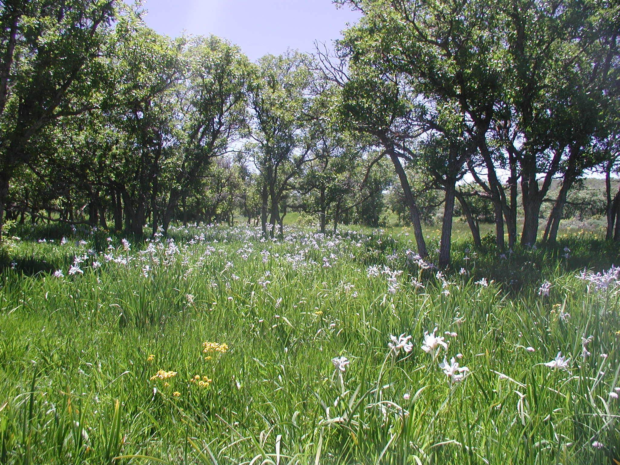 Tbd Tbd Property Photo 31