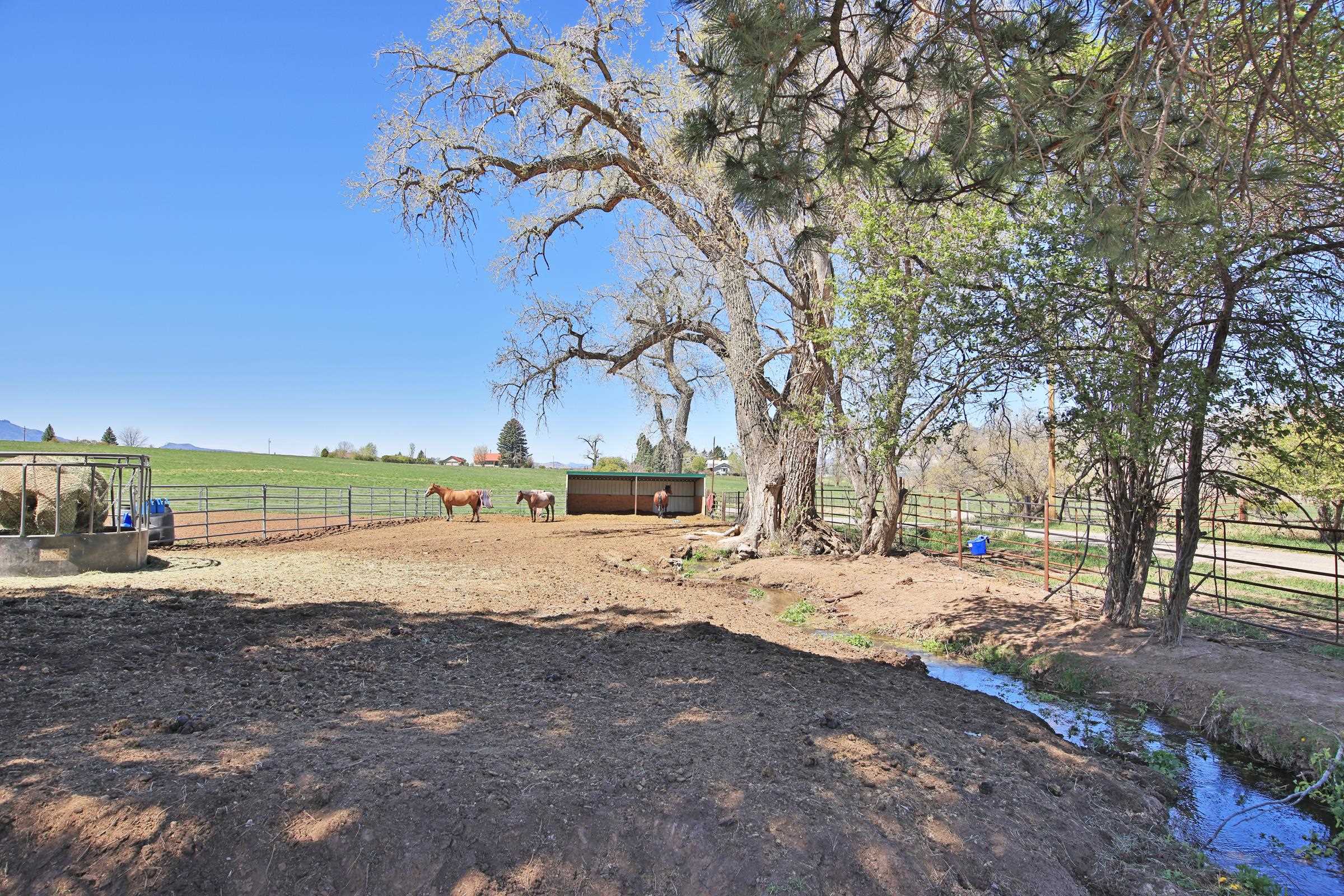 58749 Oe Road Property Photo 35