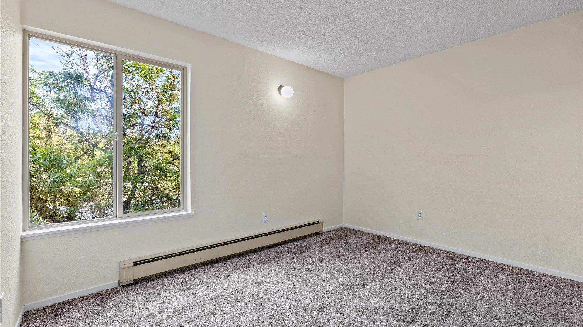 3146 Lakeside Drive Property Photo 15
