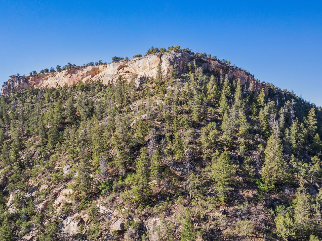 21900 Rough Canyon Road Property Photo 14