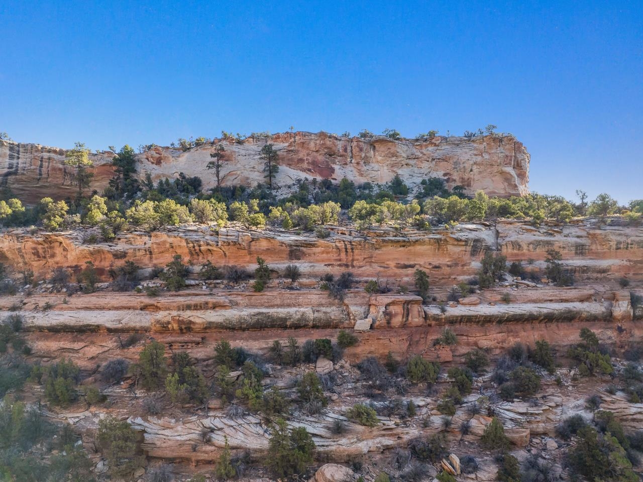 21900 Rough Canyon Road Property Photo 15