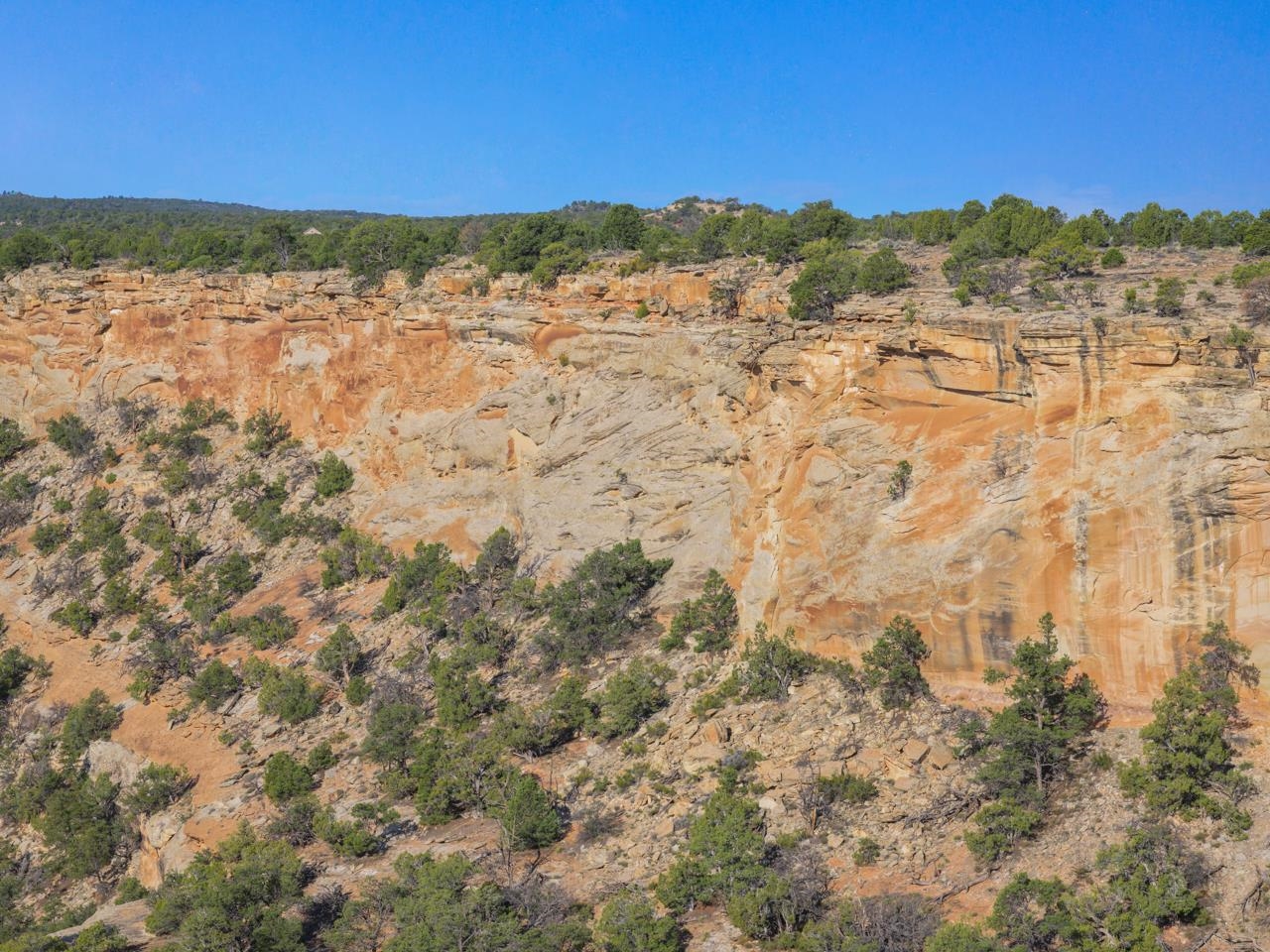 21900 Rough Canyon Road Property Photo 19