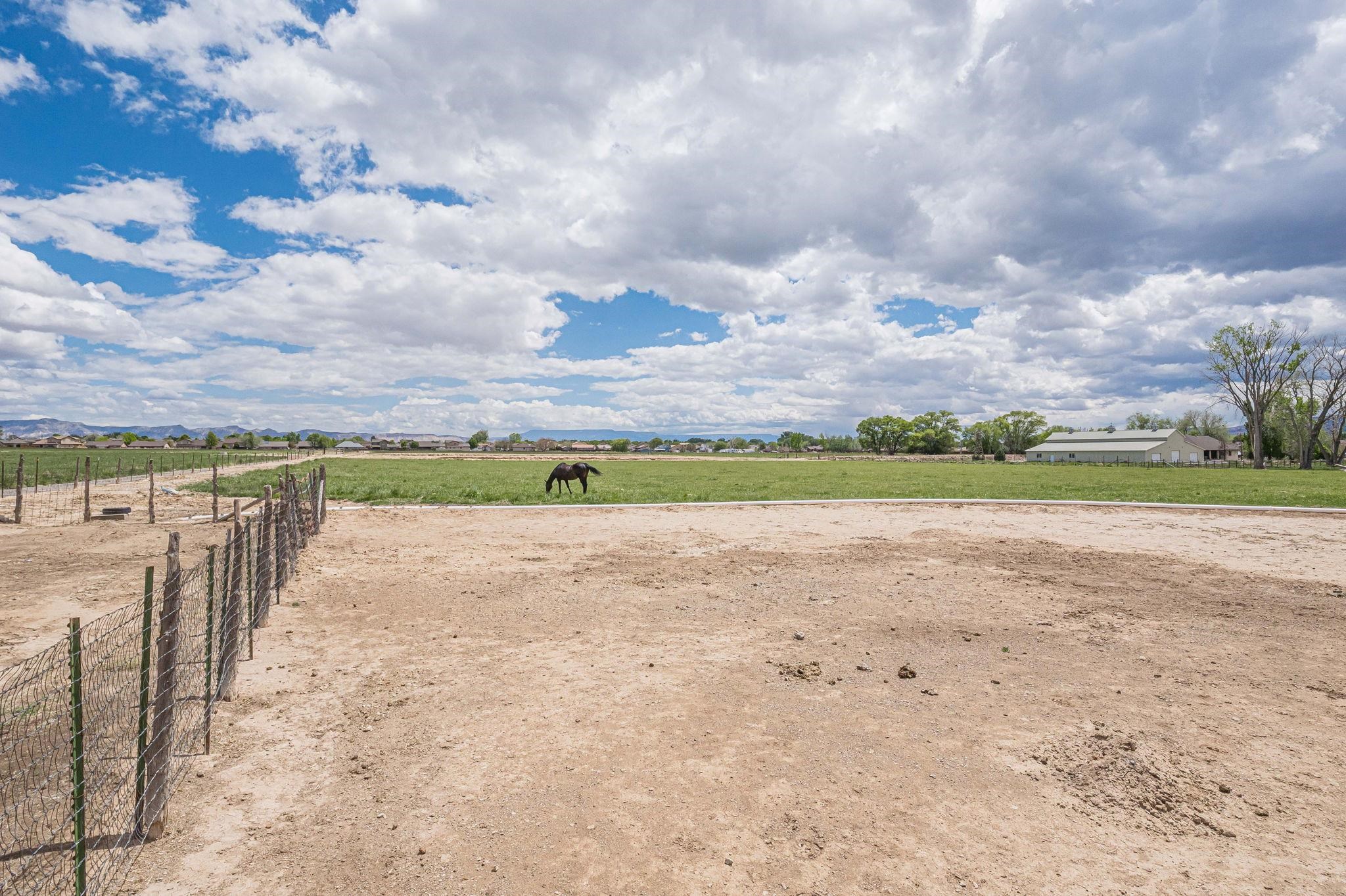 1176 17 1/2 Road Property Photo 13