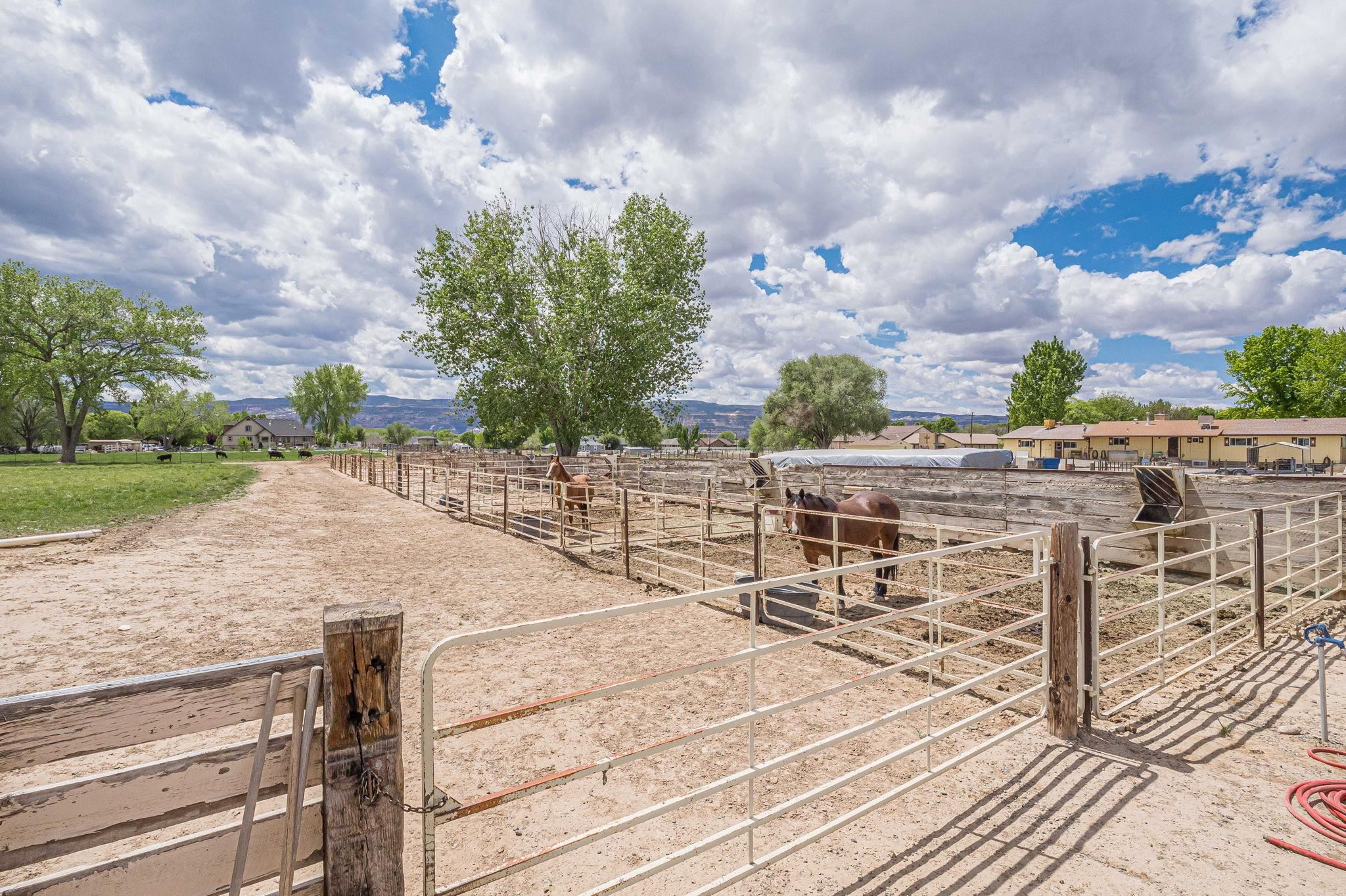 1176 17 1/2 Road Property Photo 14