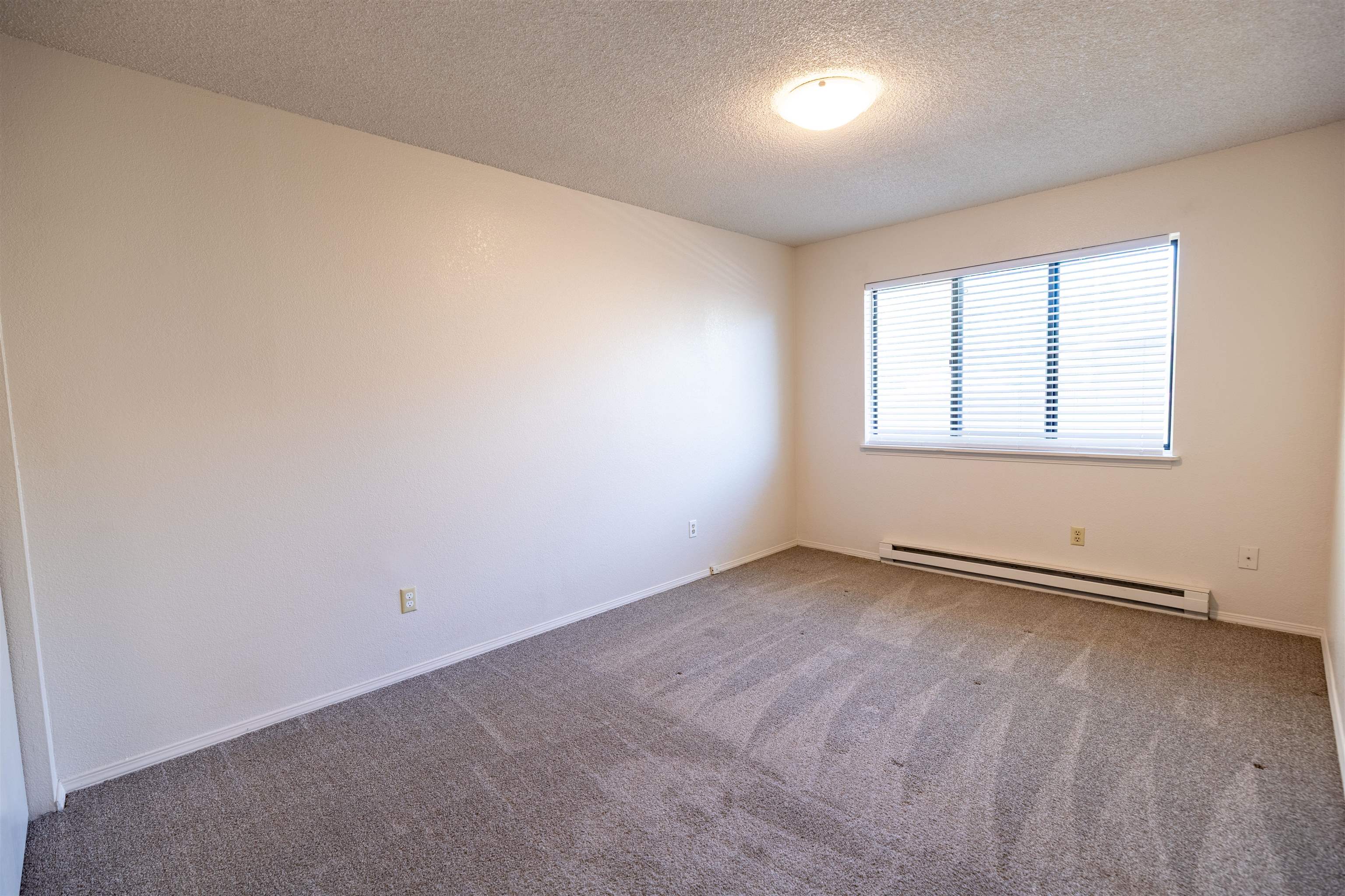 239 S Elm Street Property Photo 16