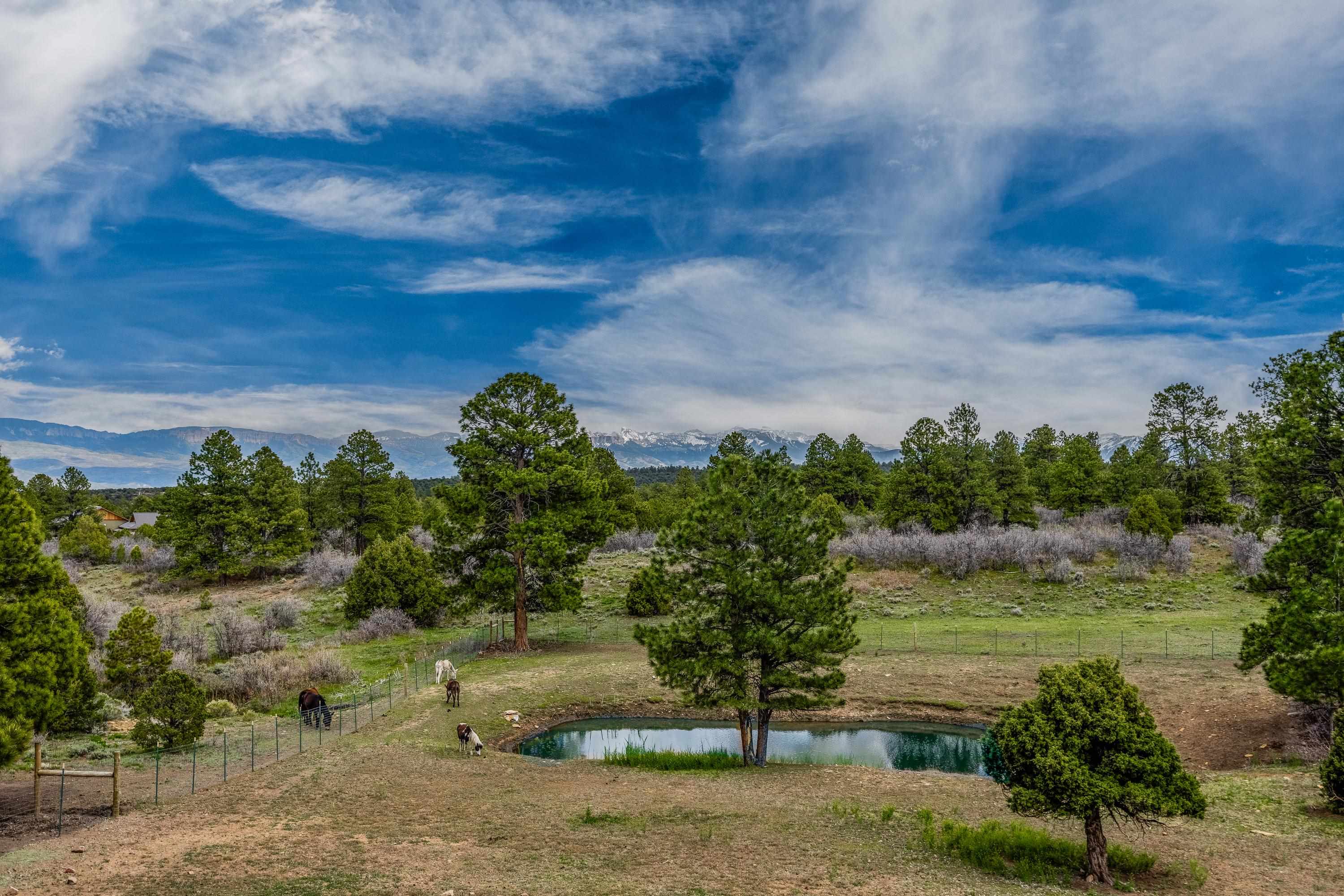 3460 Mariposa Drive Property Photo 6