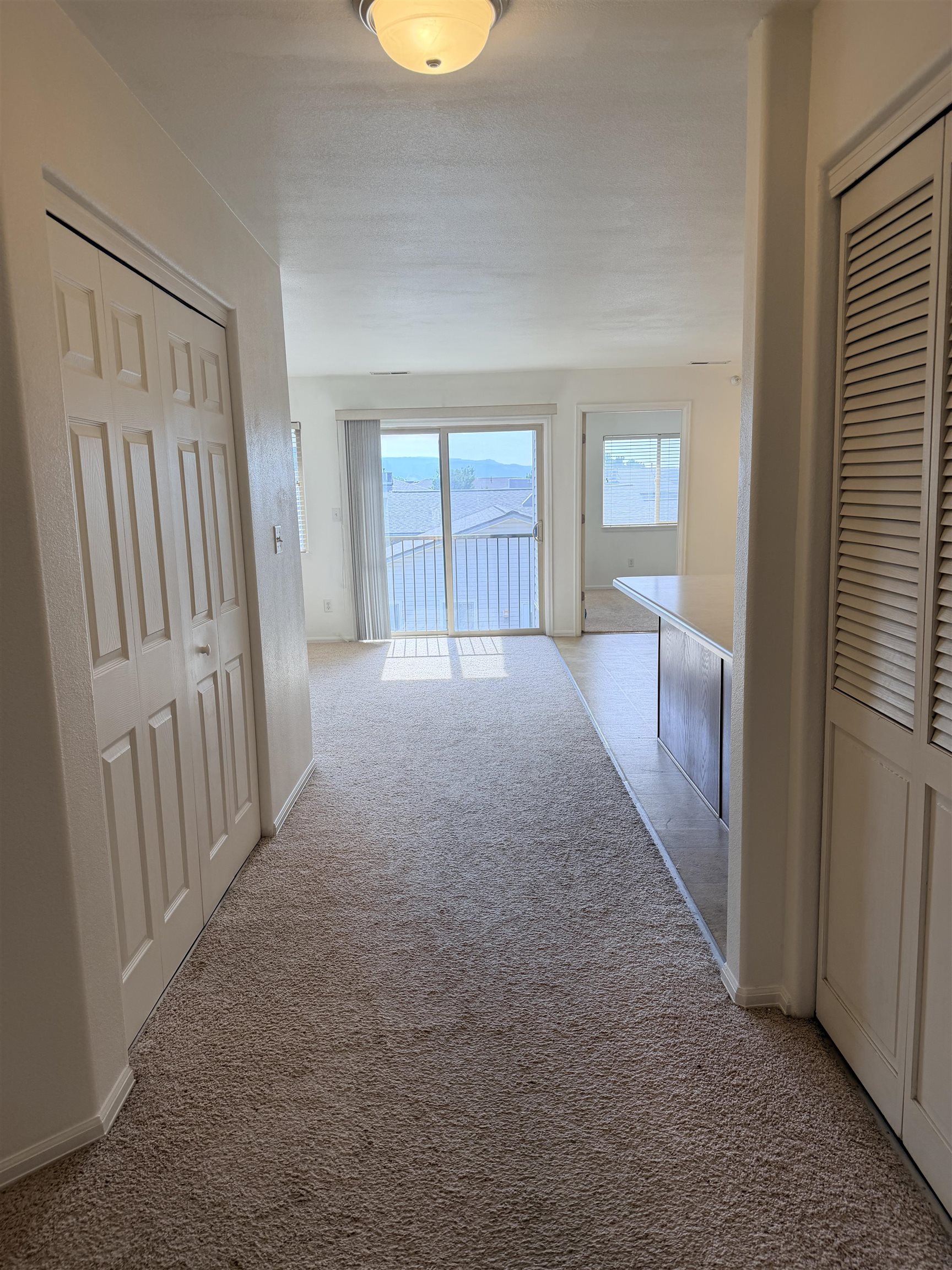 2474 Orion Way Property Photo 6