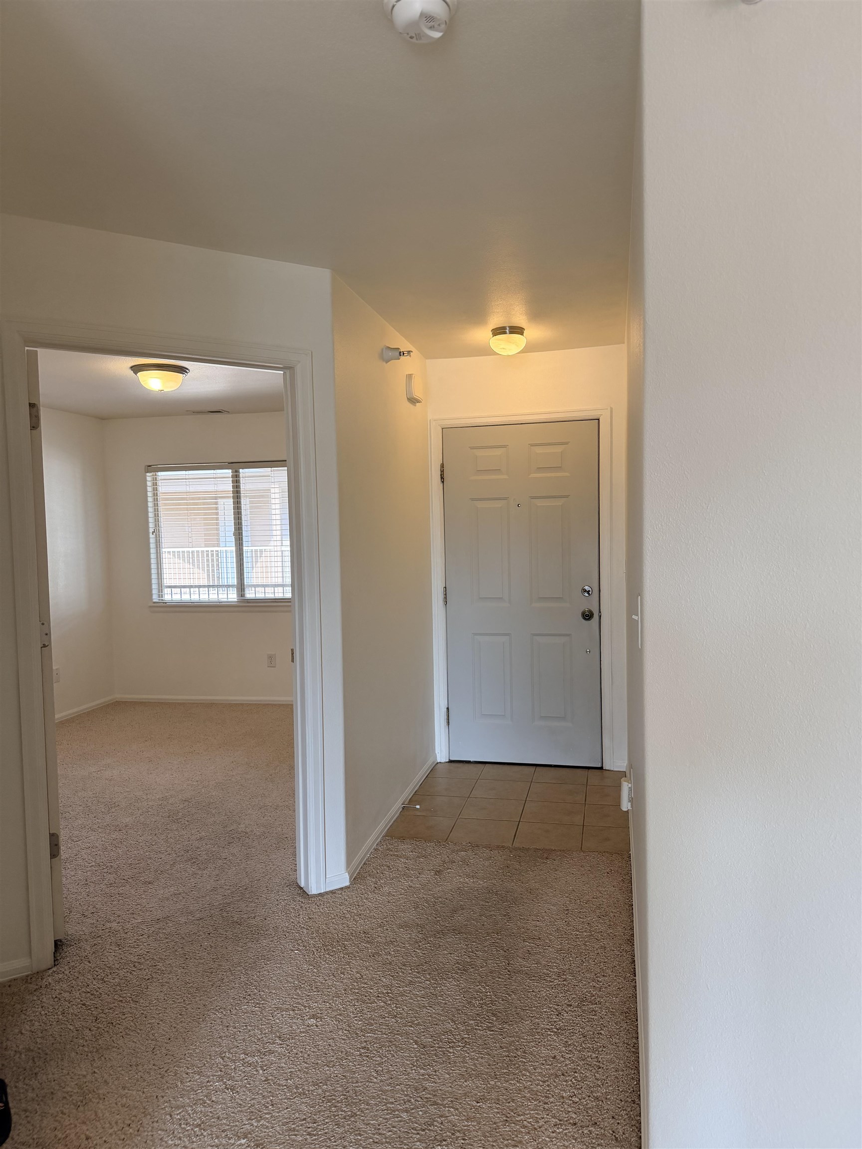 2474 Orion Way Property Photo 8